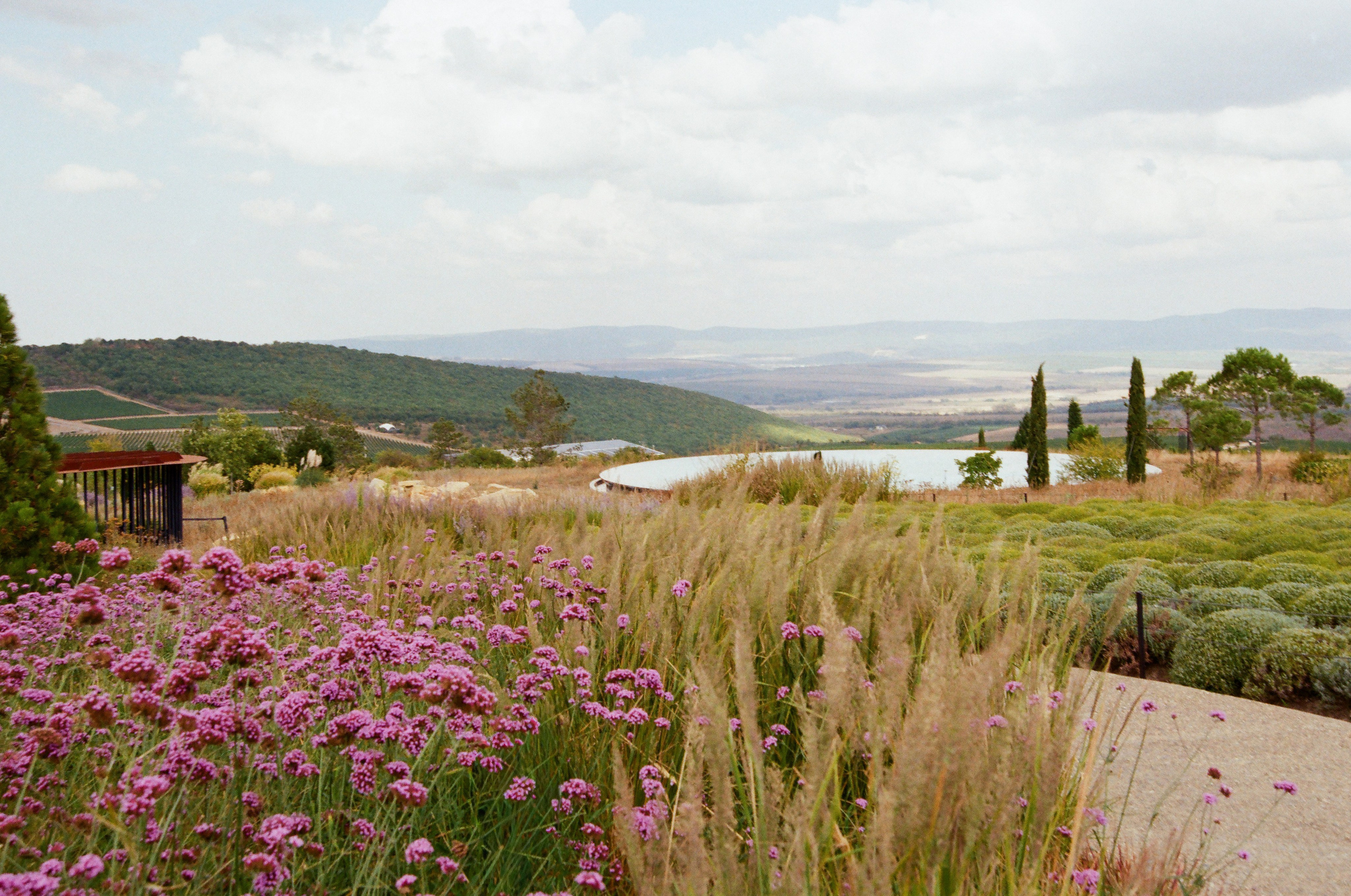 Gai-Kodzor Winery Landscape. Ekaterina Symidi. Interior Photographer
