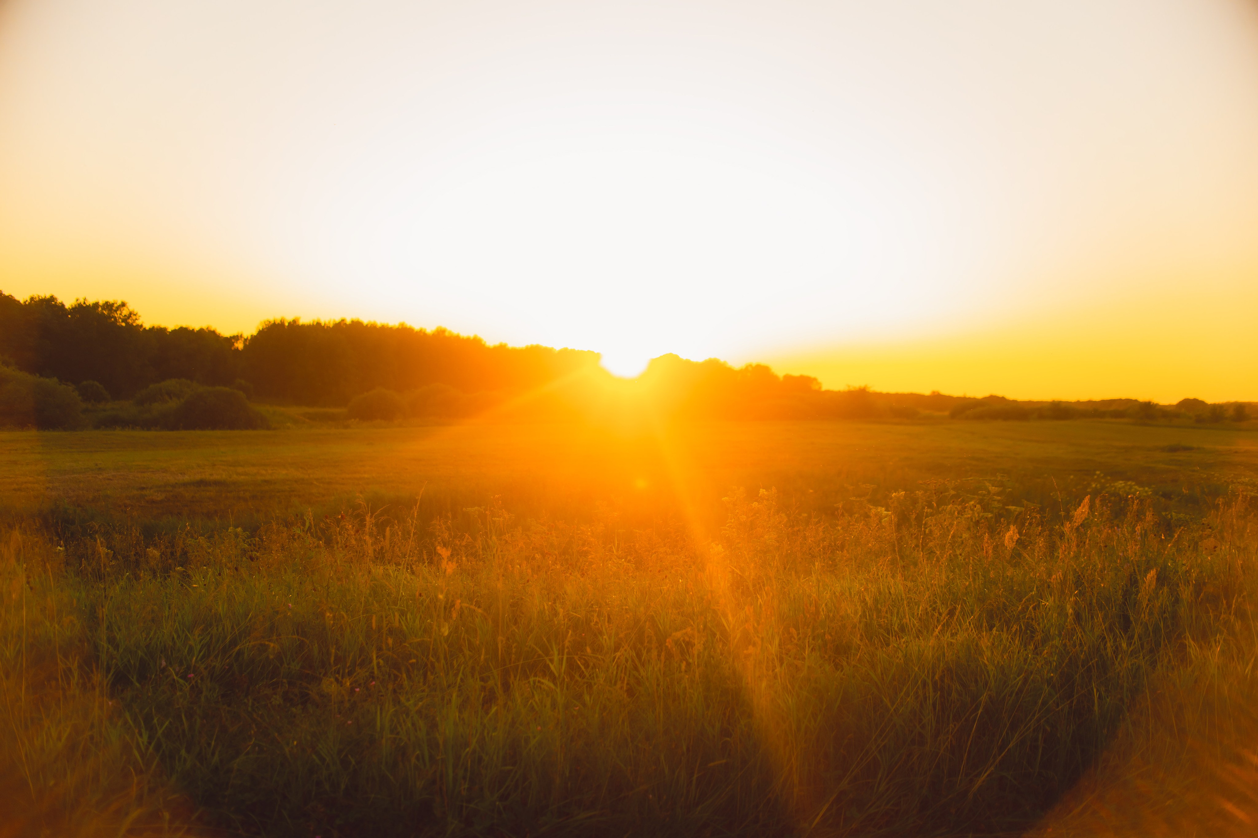 Наташа, Агата, Назар и Август — 17.07.2025. Фотограф — Анималист | Анна Абрамова