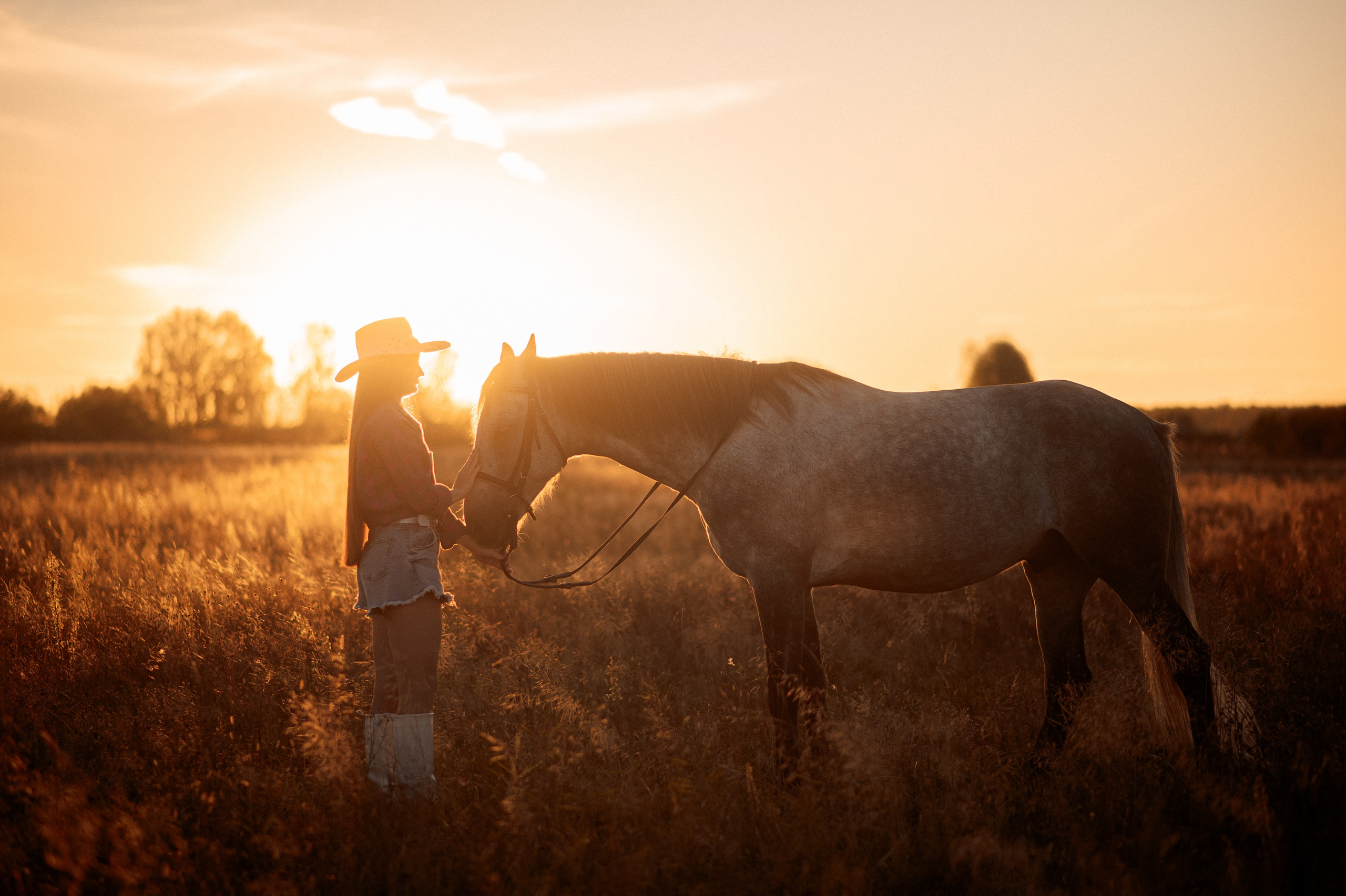 Вероника и Дакар — 23.09.2024. Фотограф — Анималист | Анна Абрамова