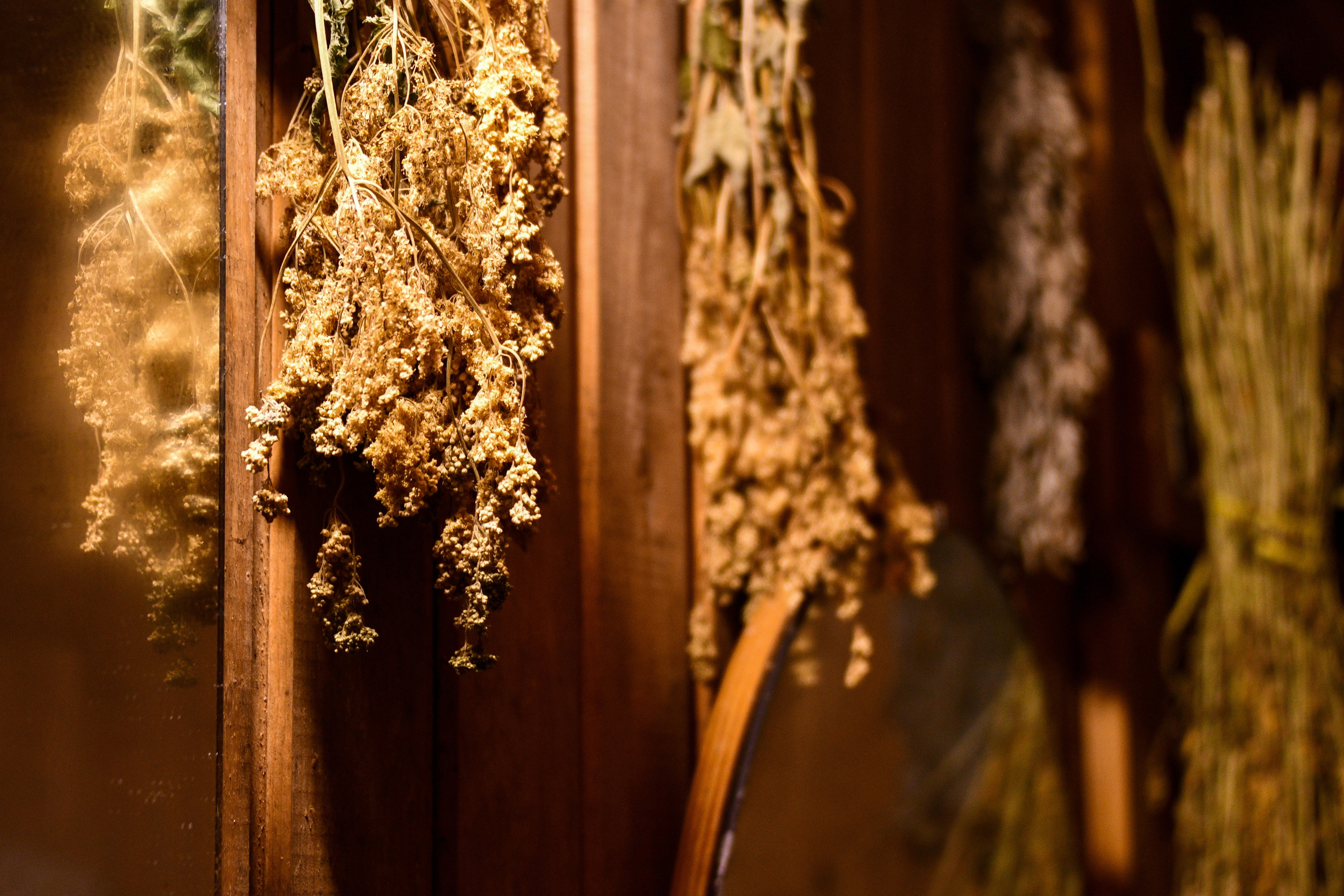 Контент-съемка для Инны. Фотограф в Санкт-Петербурге Ксения Яковчук