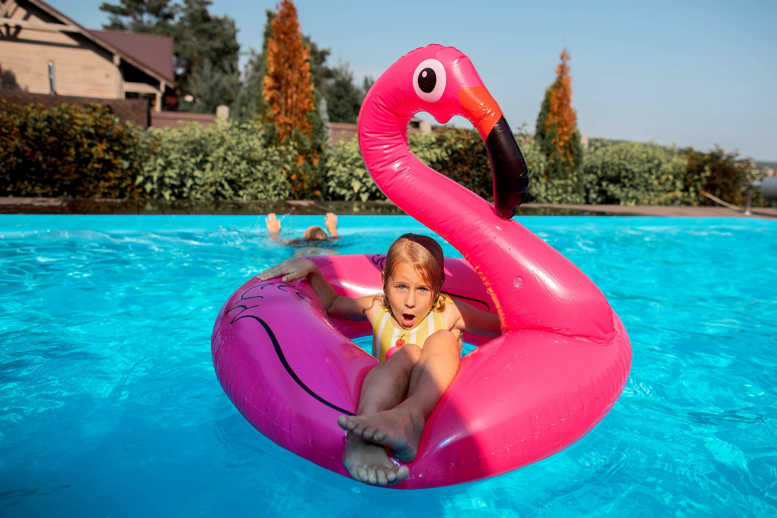 Pool party. Birthday party. 12 лет, flamingo party