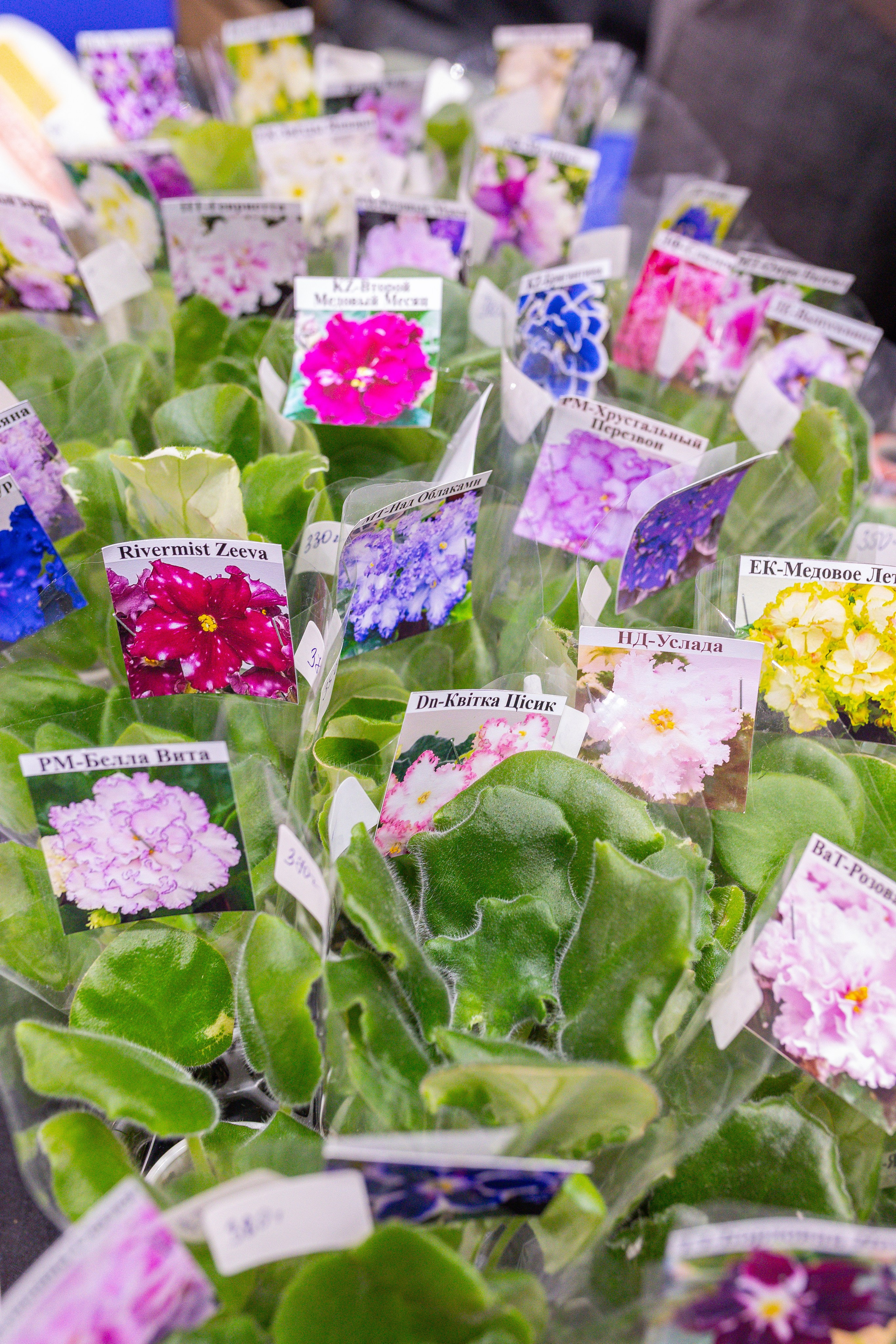 Монстериум 11–12 октября. Александра Куликова фотограф, Москва