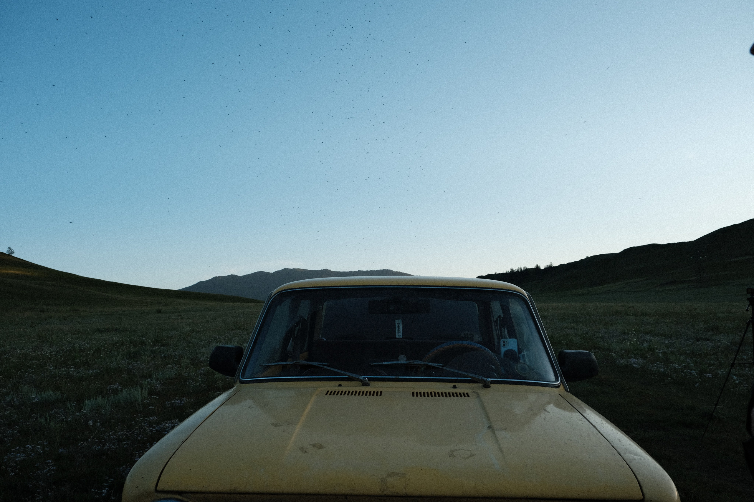 «50.005 659, 85.831 007». Izma photos