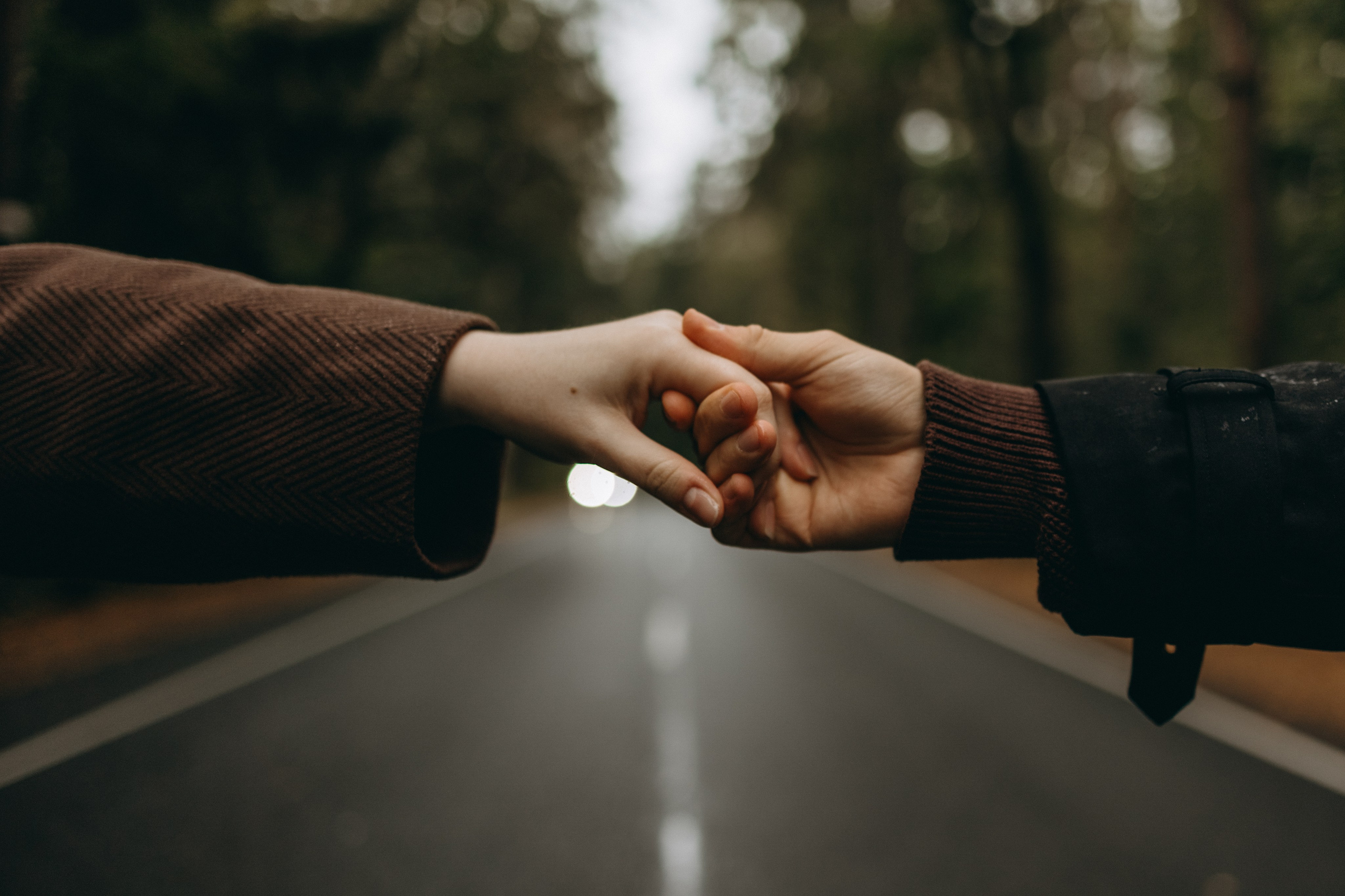 Жу и ее семья. Фотограф — Анималист | Санкт-Петербург