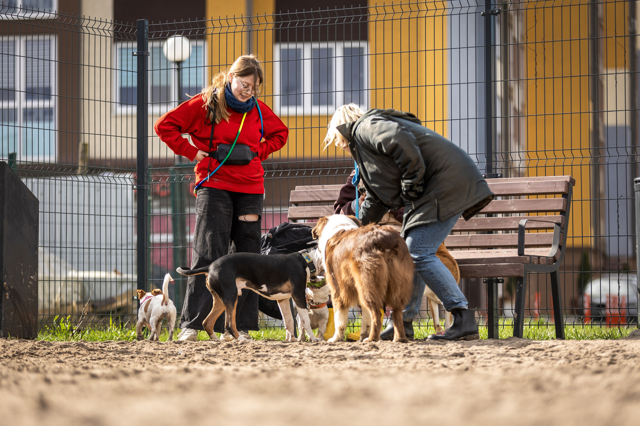 Догтуса 24.03.2024. Ирина Голомб|Фотограф-анималист в  Сочи и Калининграде