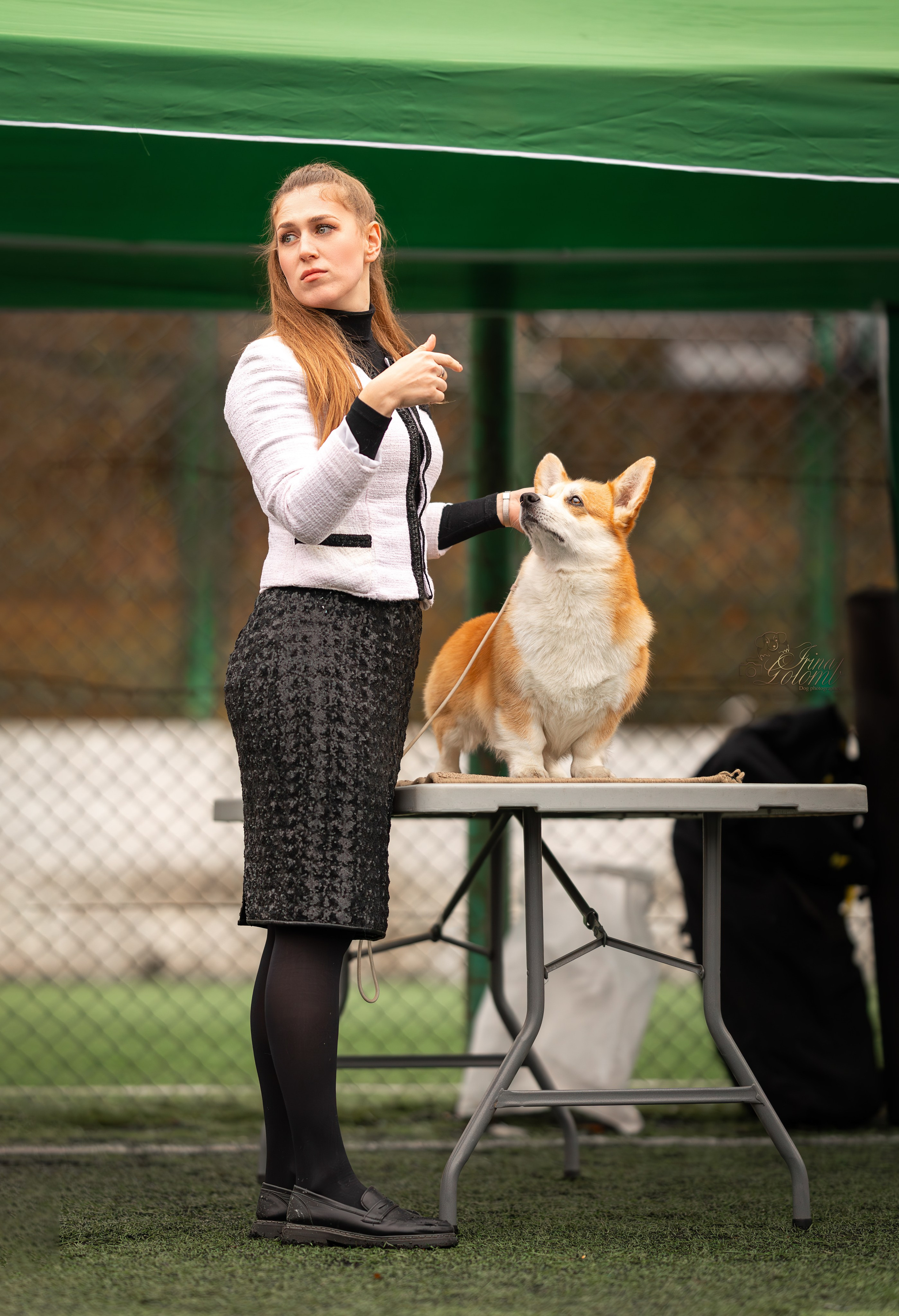 Выставка 17.12.23. Ирина Голомб|Фотограф-анималист в  Сочи и Калининграде