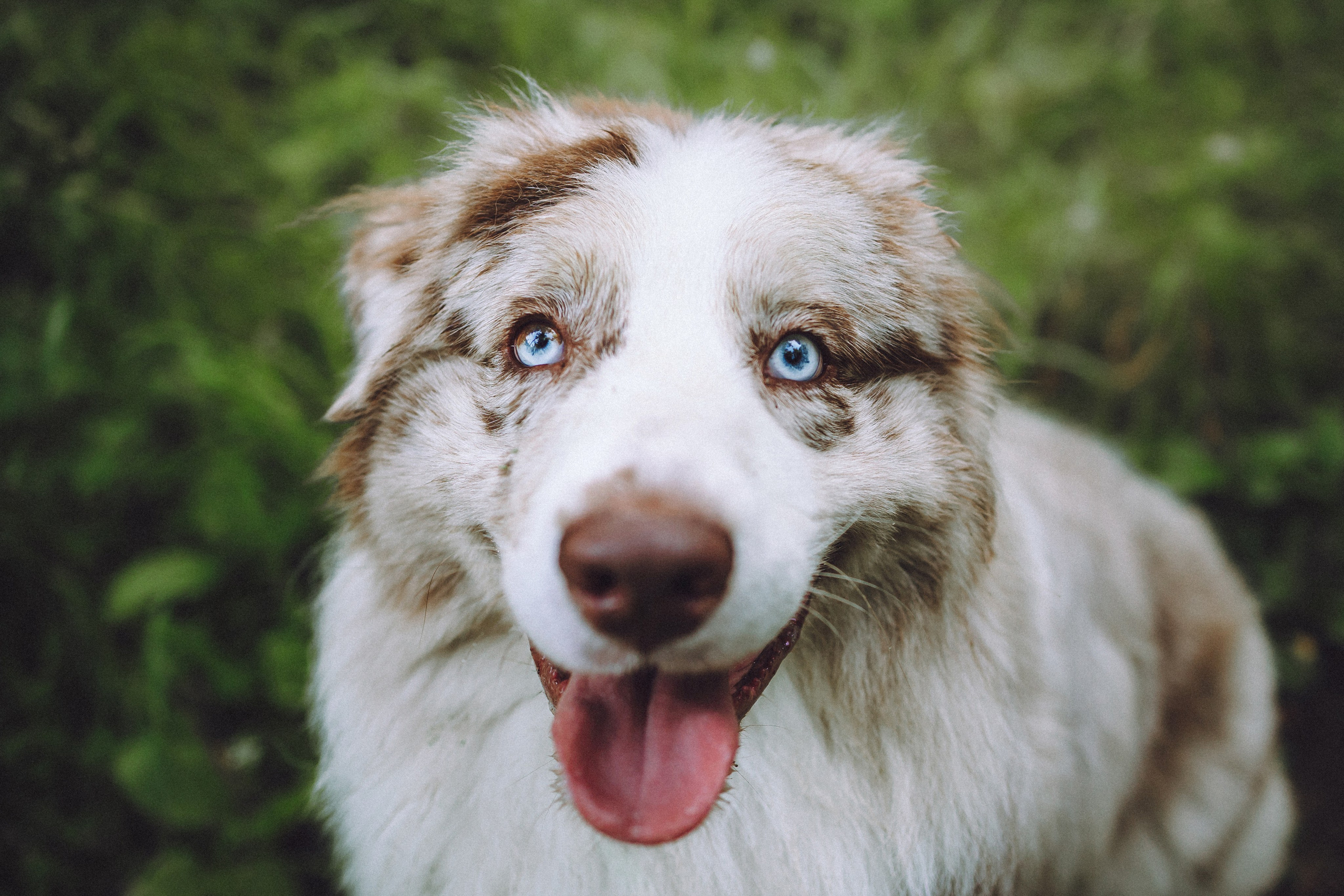 Катя, Андрей, Гектор, Ричи, Тортик и Трой