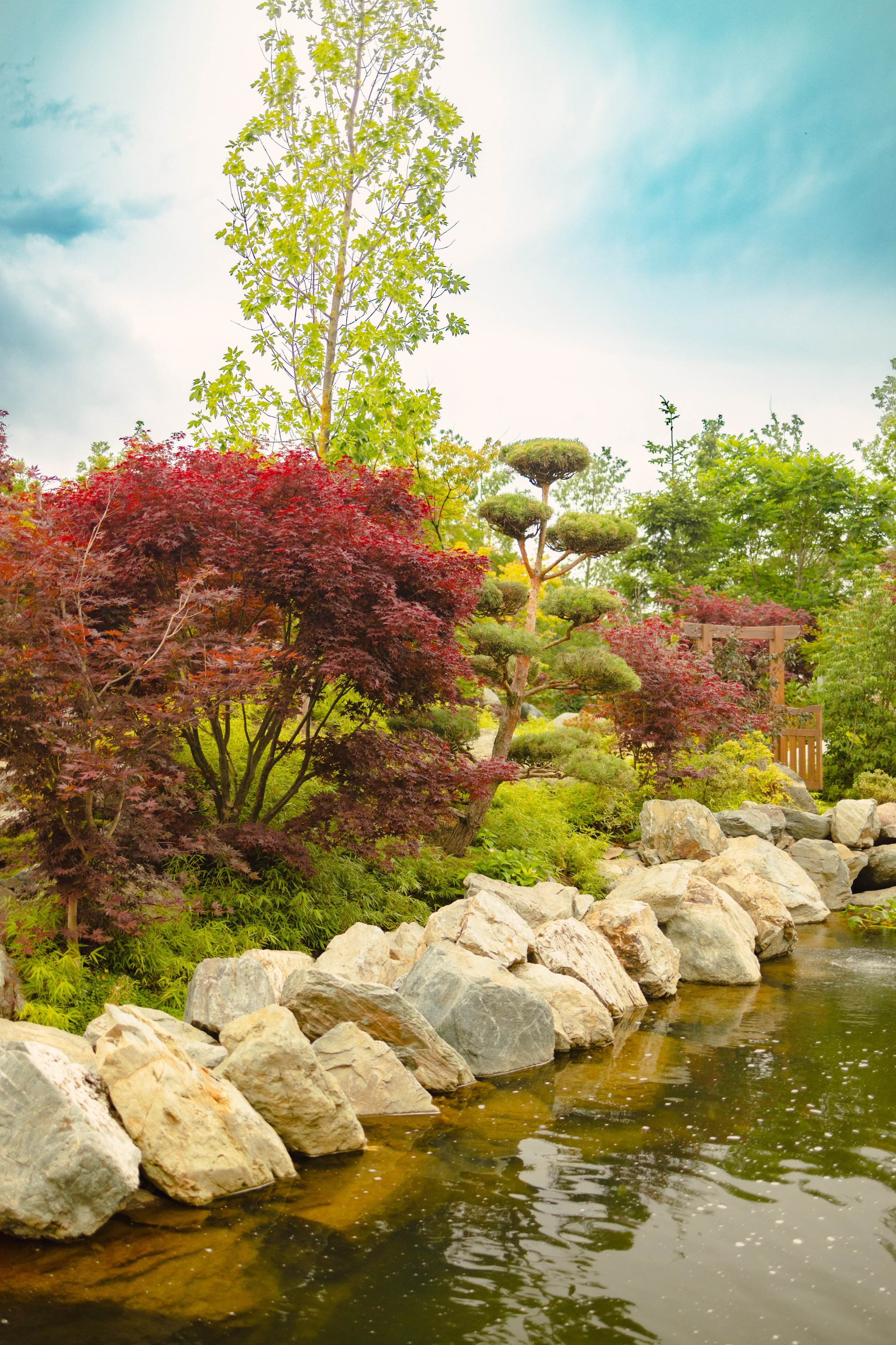 Японский сад в Краснодаре. Профессиональный фотограф и видеооператор