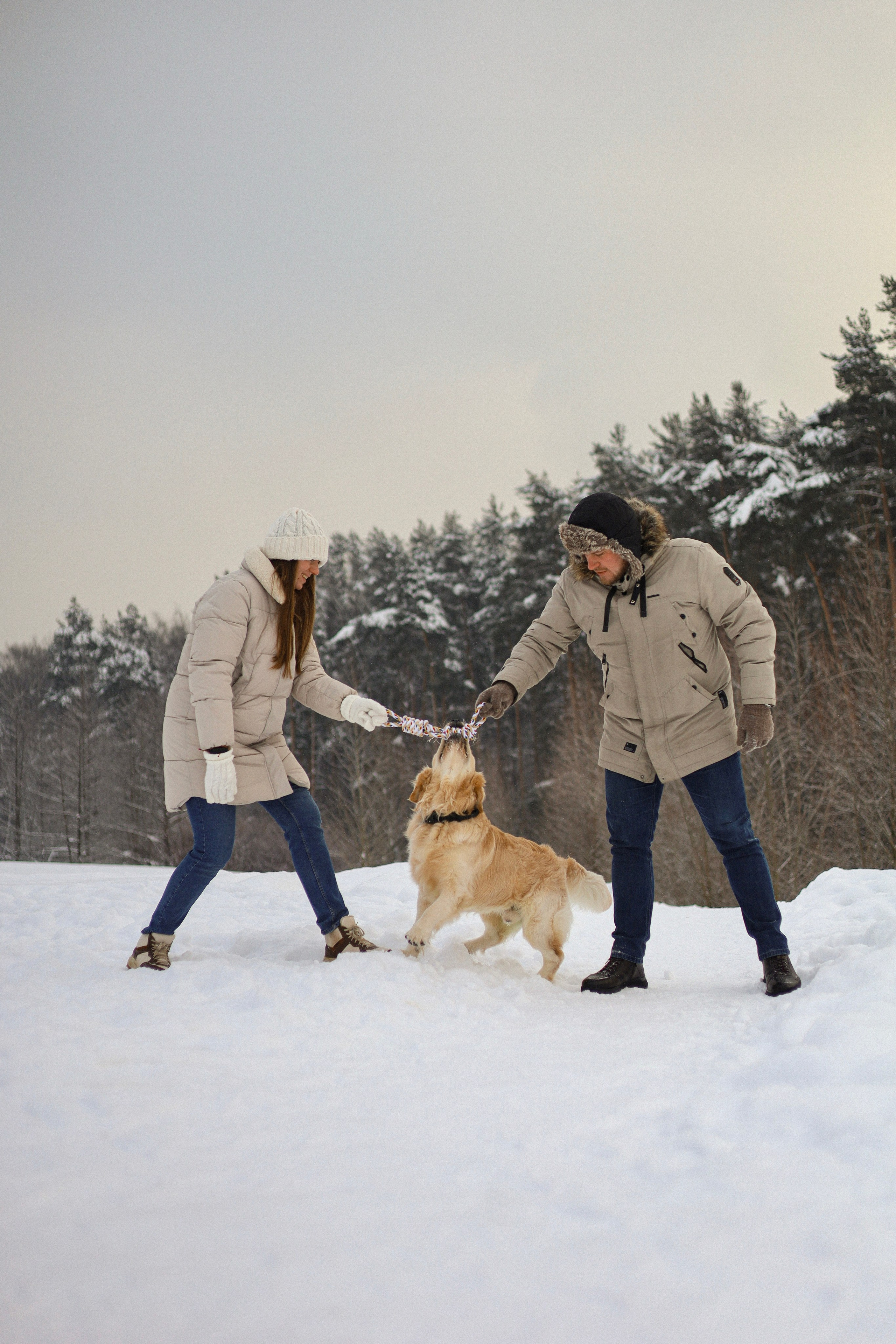 Стивен, Лена и Миша. Фотограф-анималист Ксения Шевцова|Москва