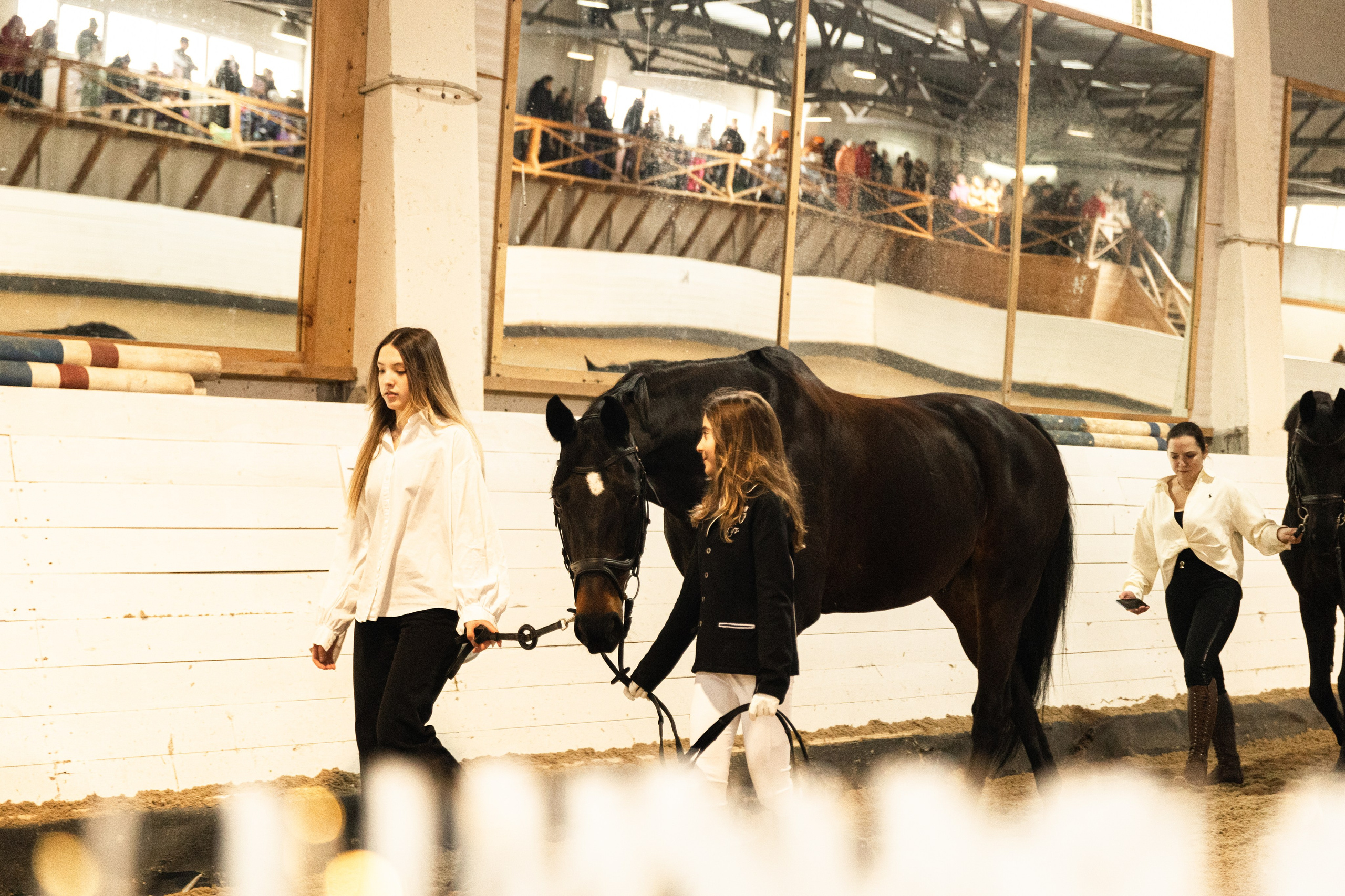 Парад пород I КК Просторы. The EVL gallery