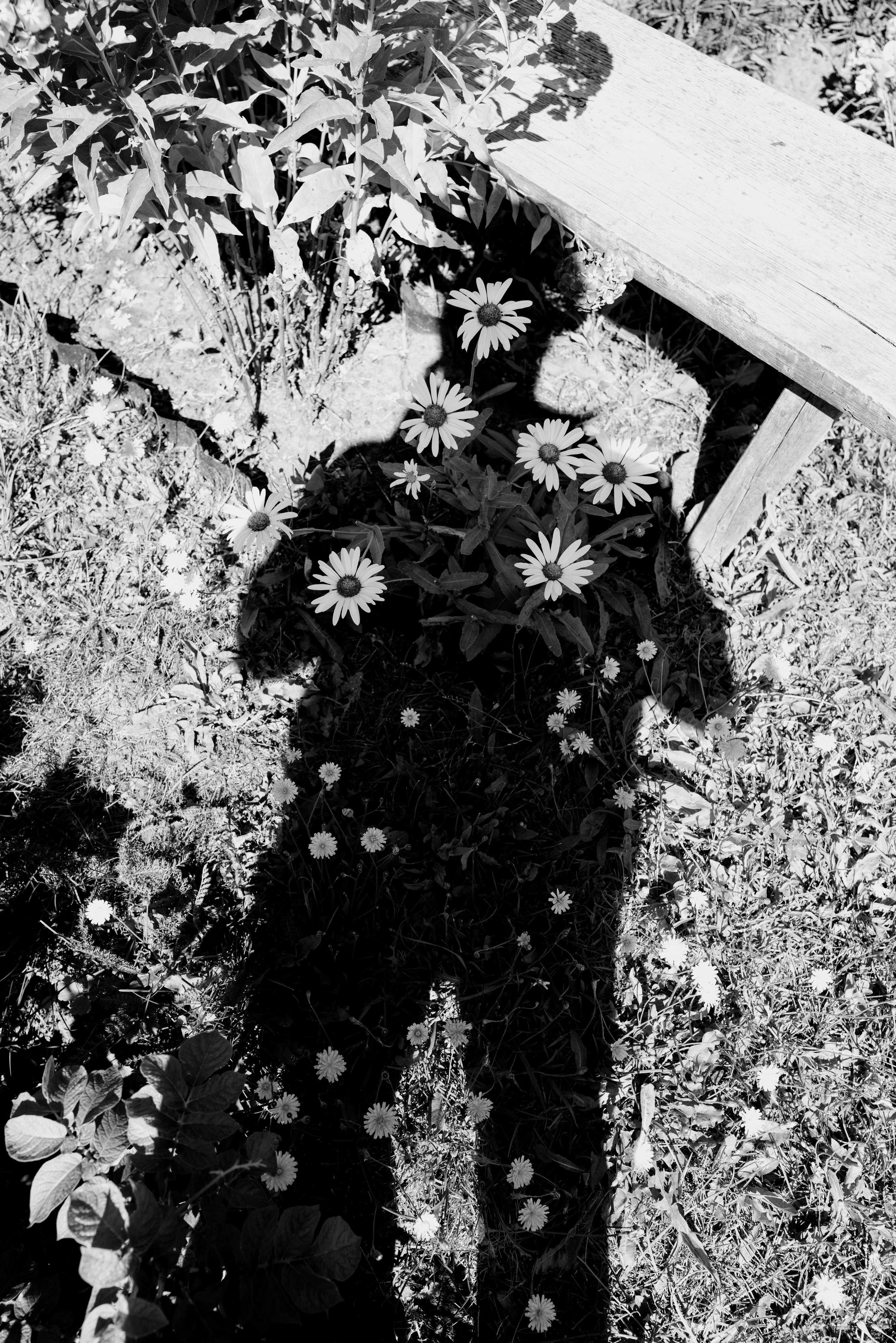 Автопортрет. Фотограф Александр Тихонов