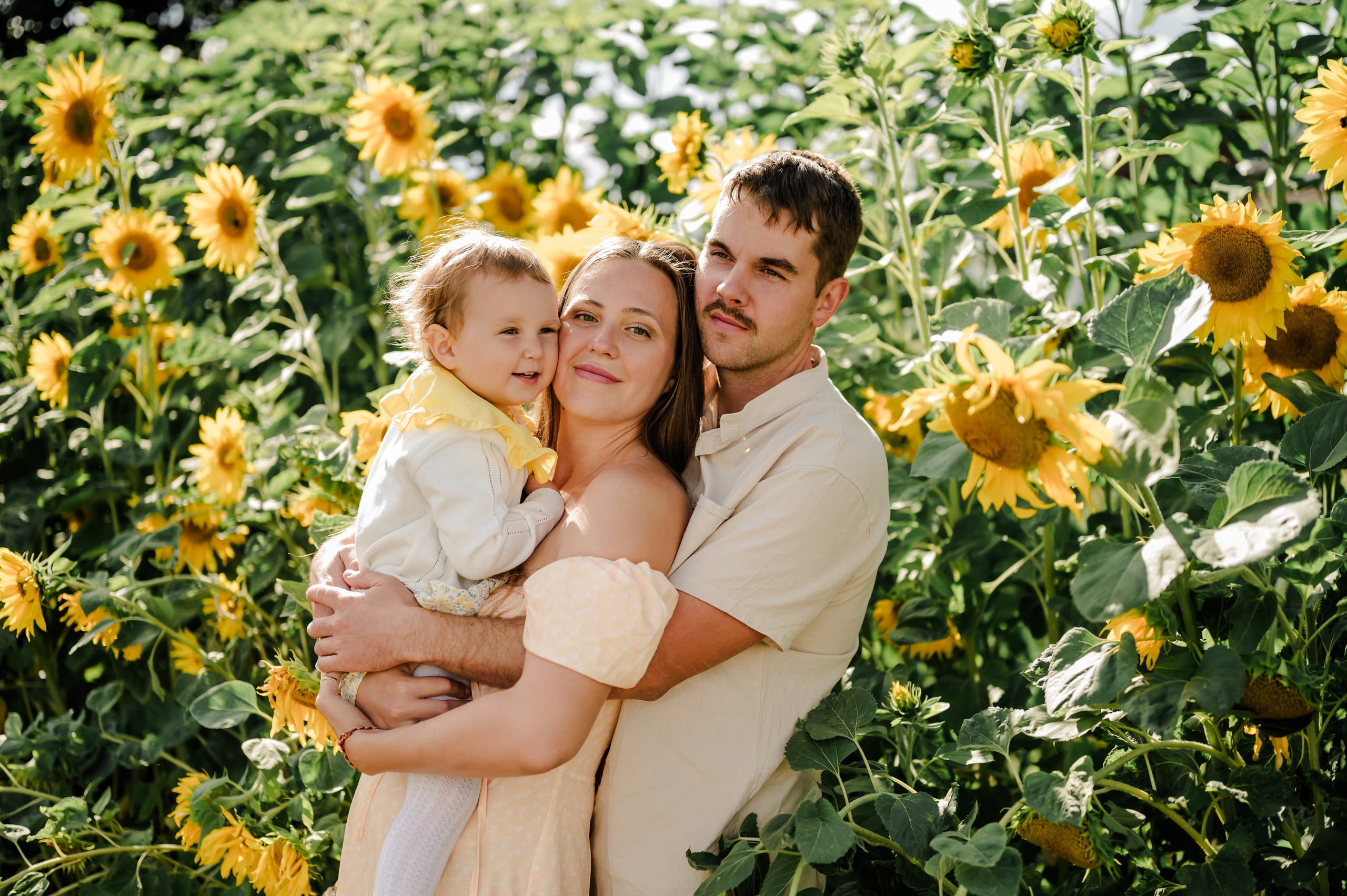 Подсолнухи. Свадебный и семейный фотограф Евгения Кононова