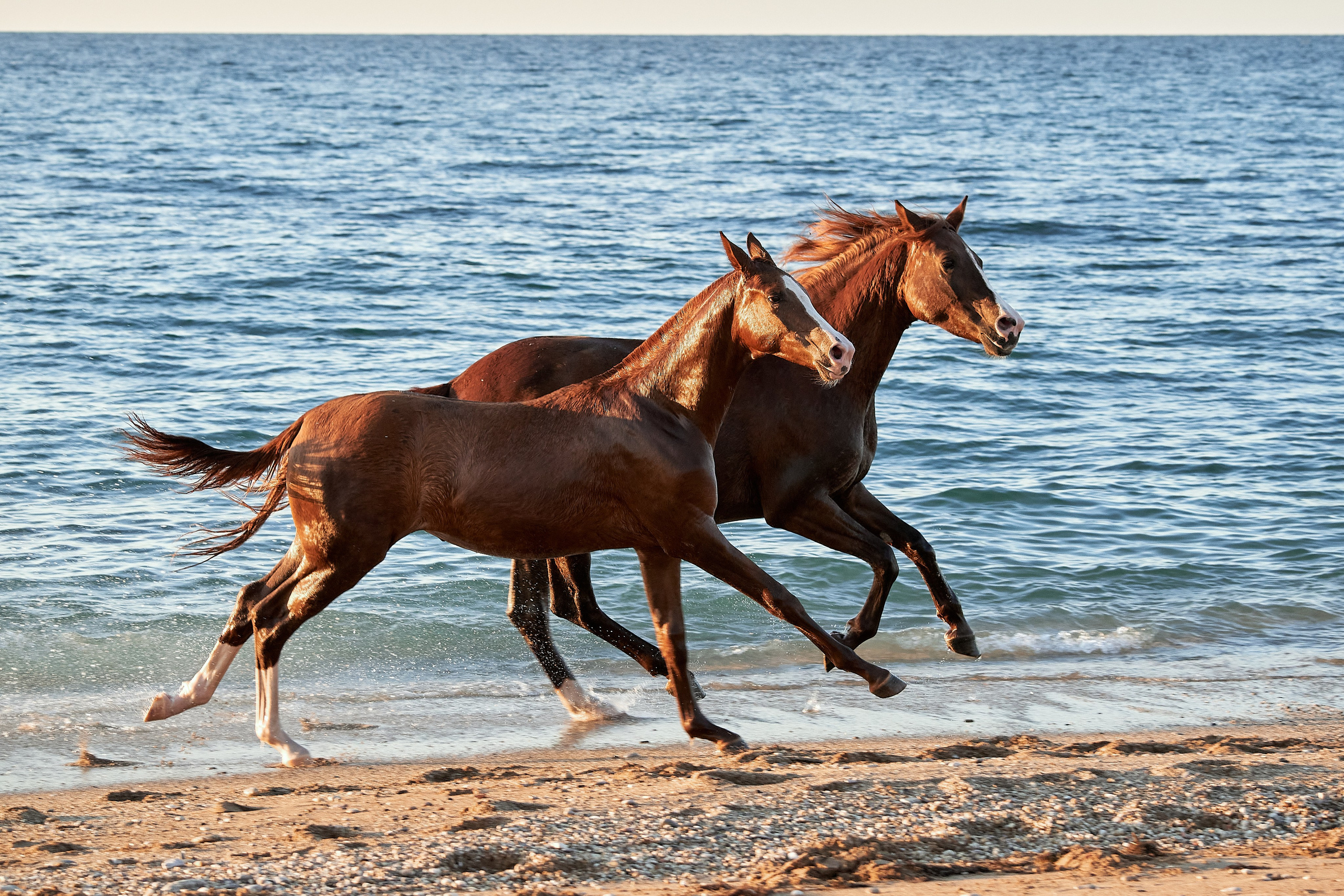 Галактика и Кассиопея. Фотограф в Севастополе