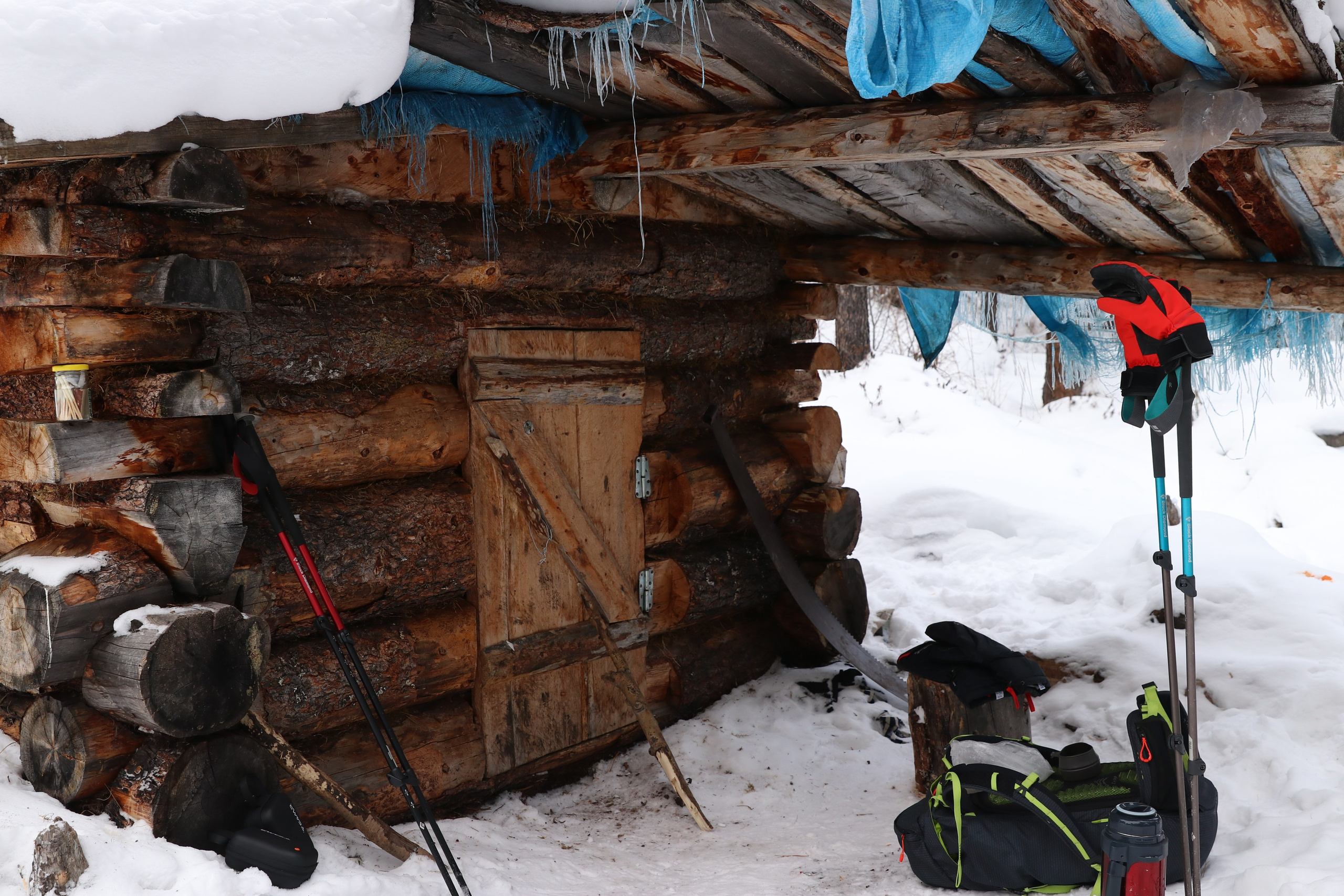 Аршан. Январь 2024. Путешественник-фотограф из Санкт-Петербурга Татьяна Свистулина