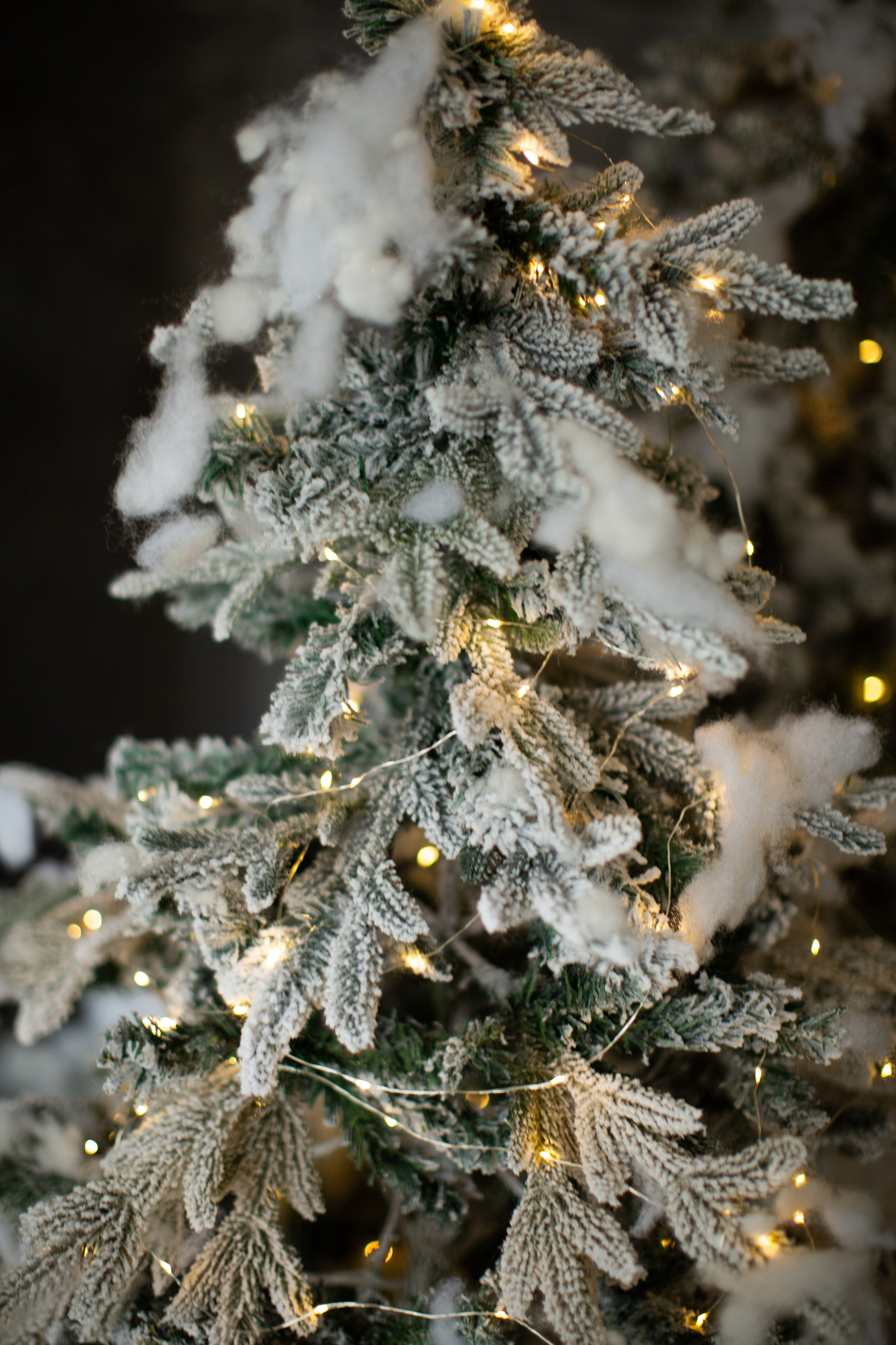 Нг24. Фотограф НатаФото (Наталья Яковенко) Дмитров Москва Питер