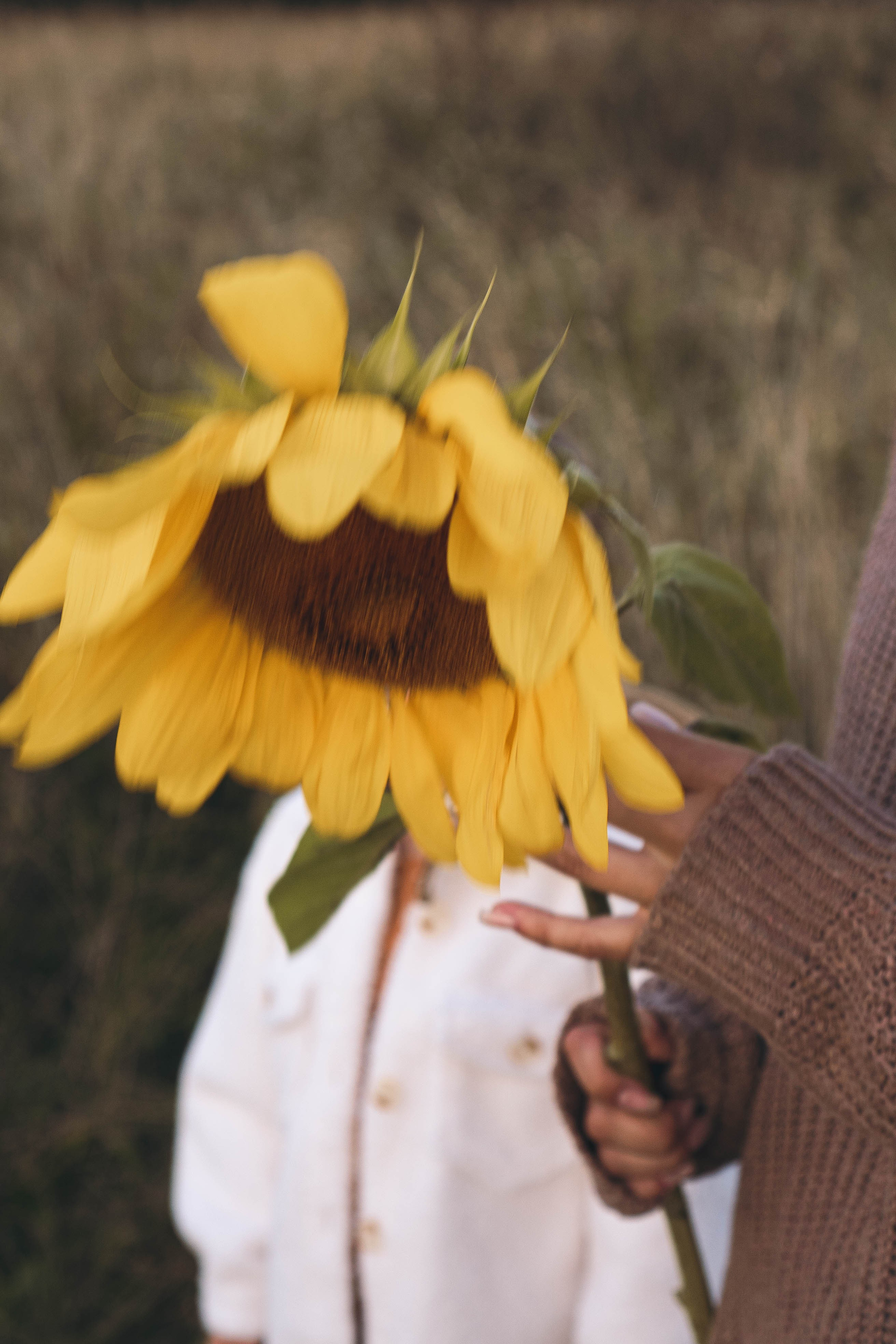 Семейная серия. Профессиональный фотограф, Санкт-Петербург — Виктория Богомолова
