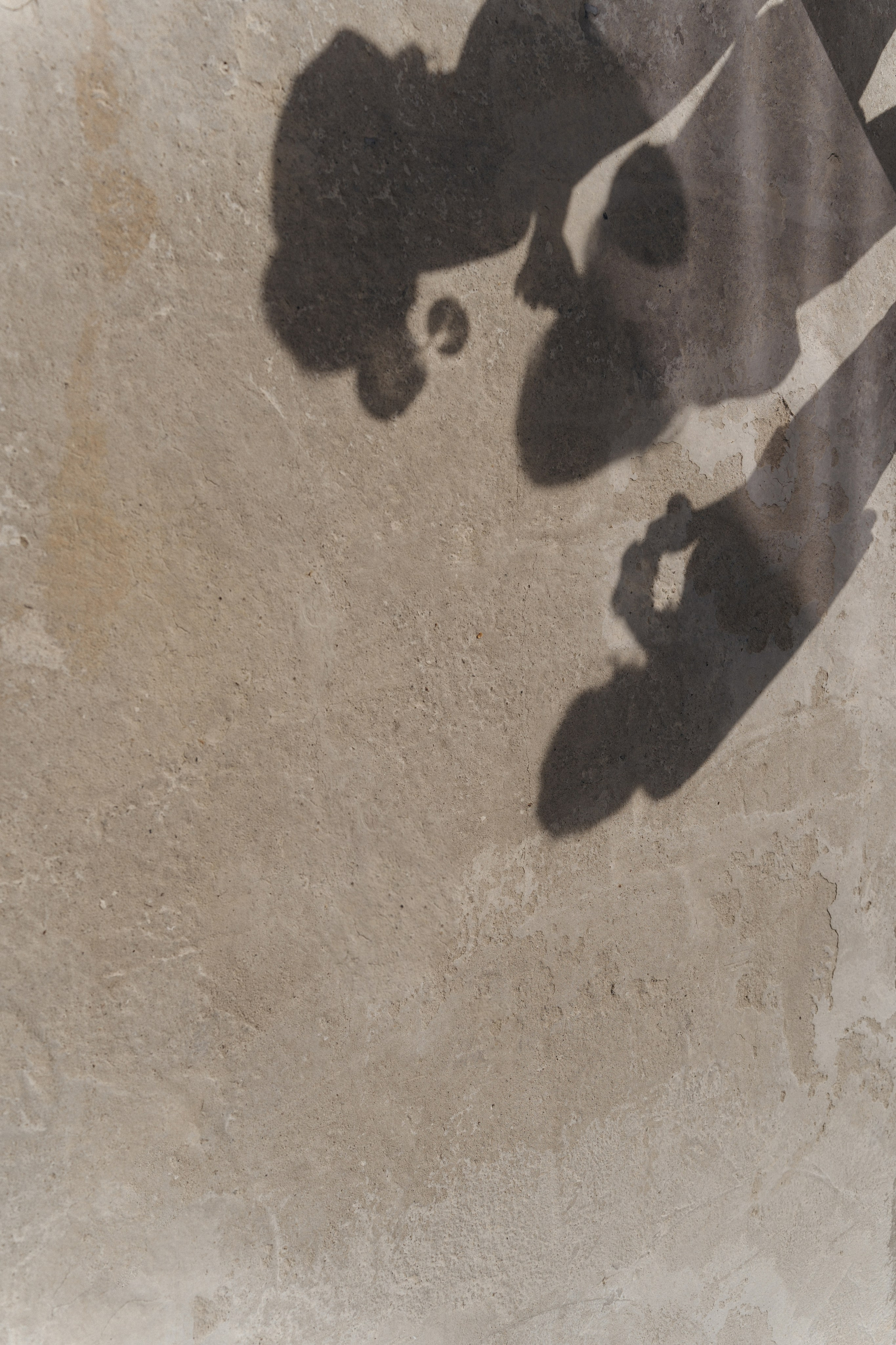 Скалистый берег 2024. Свадебный фотограф в Краснодаре и Сочи Винидиктова Екатерина