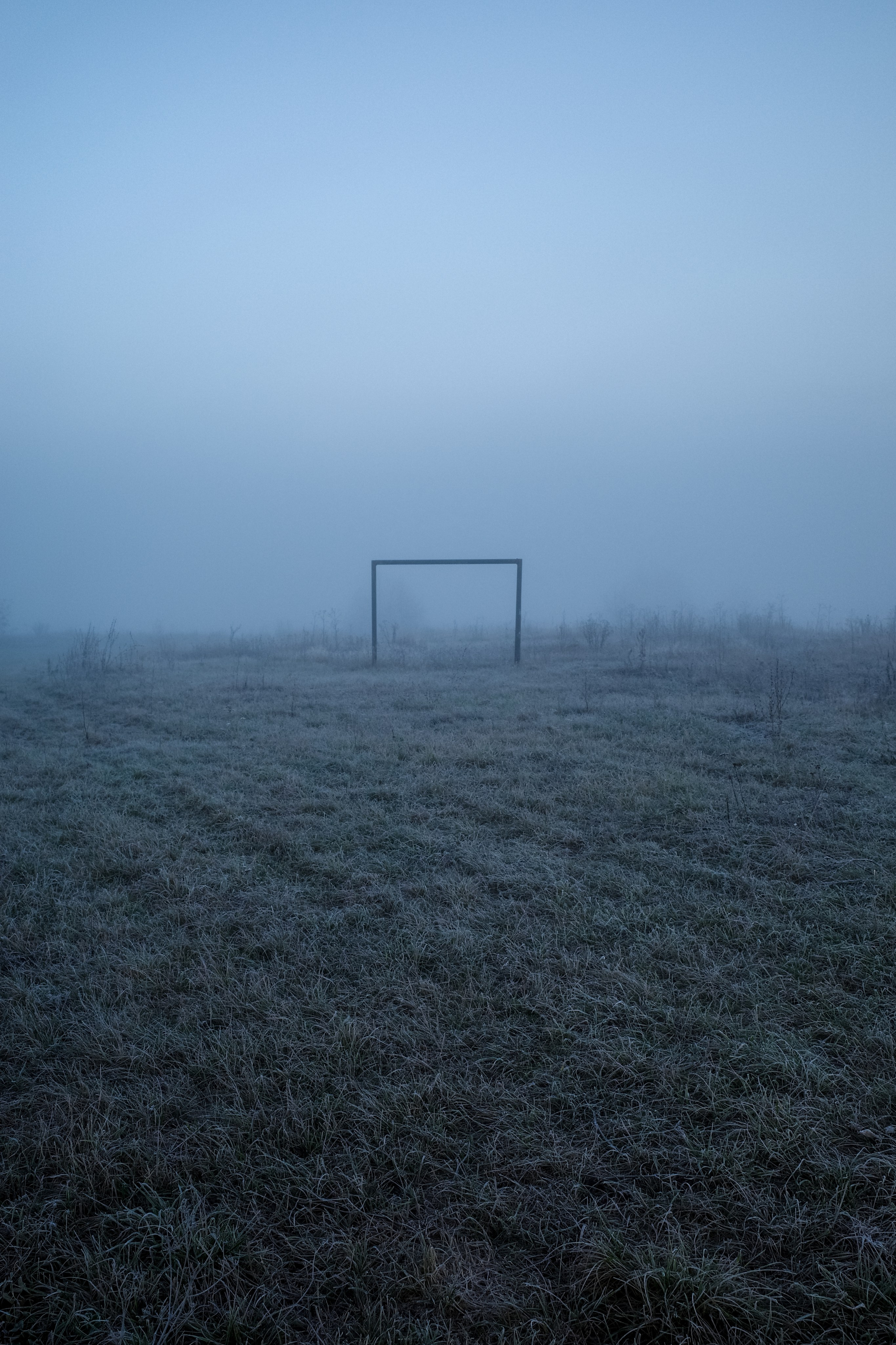 О границах реального. Междисциплинарный художник Екатерина Старовойтова