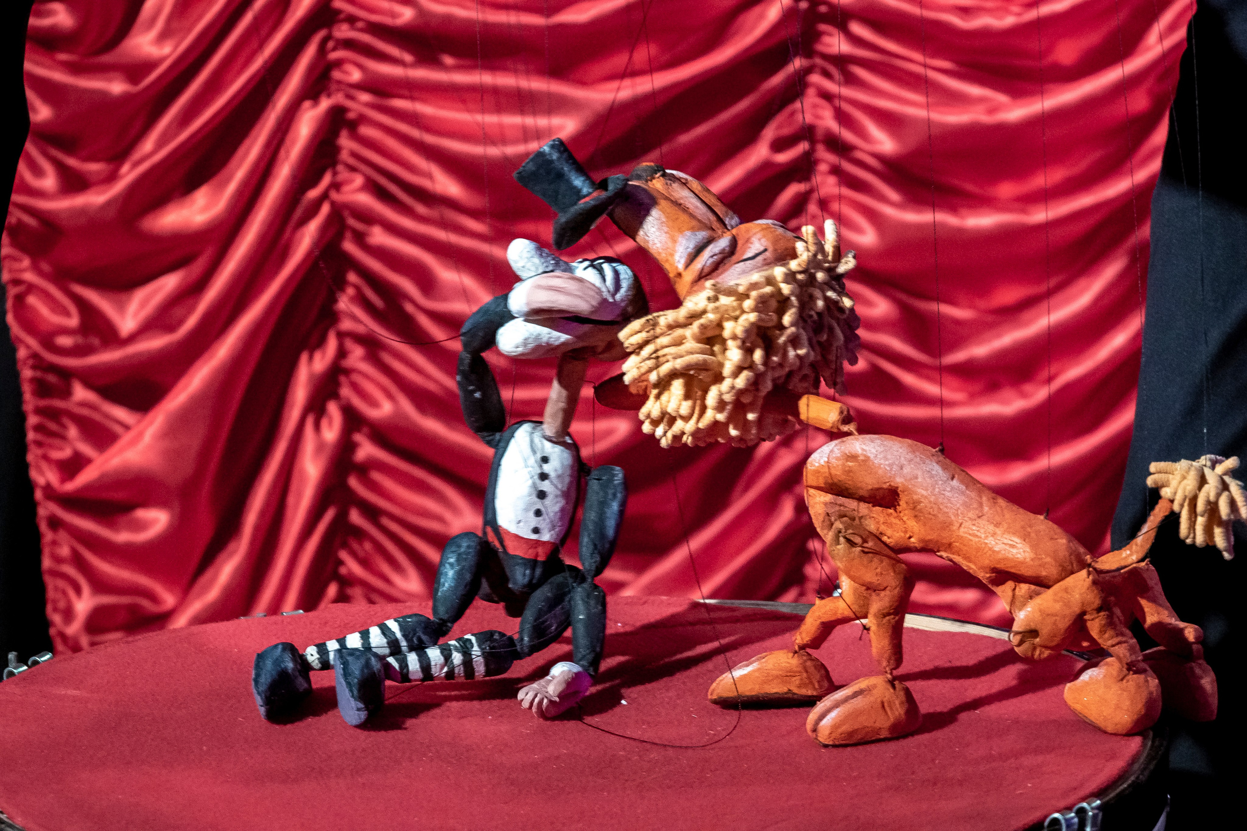 Цирк из Саквояжа спектакль театра САКВОЯЖ. Фотограф в Сочи Юрий Шептаев