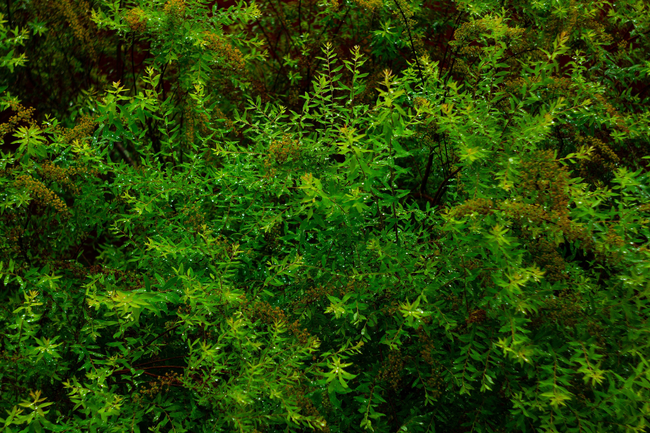 Dacha vibes. Папка кадров 📁