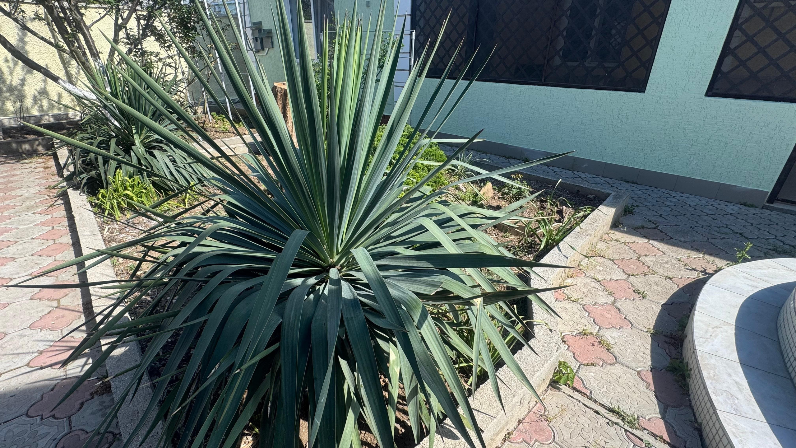 Наша территория. Гостевой дом «Райский уголок»