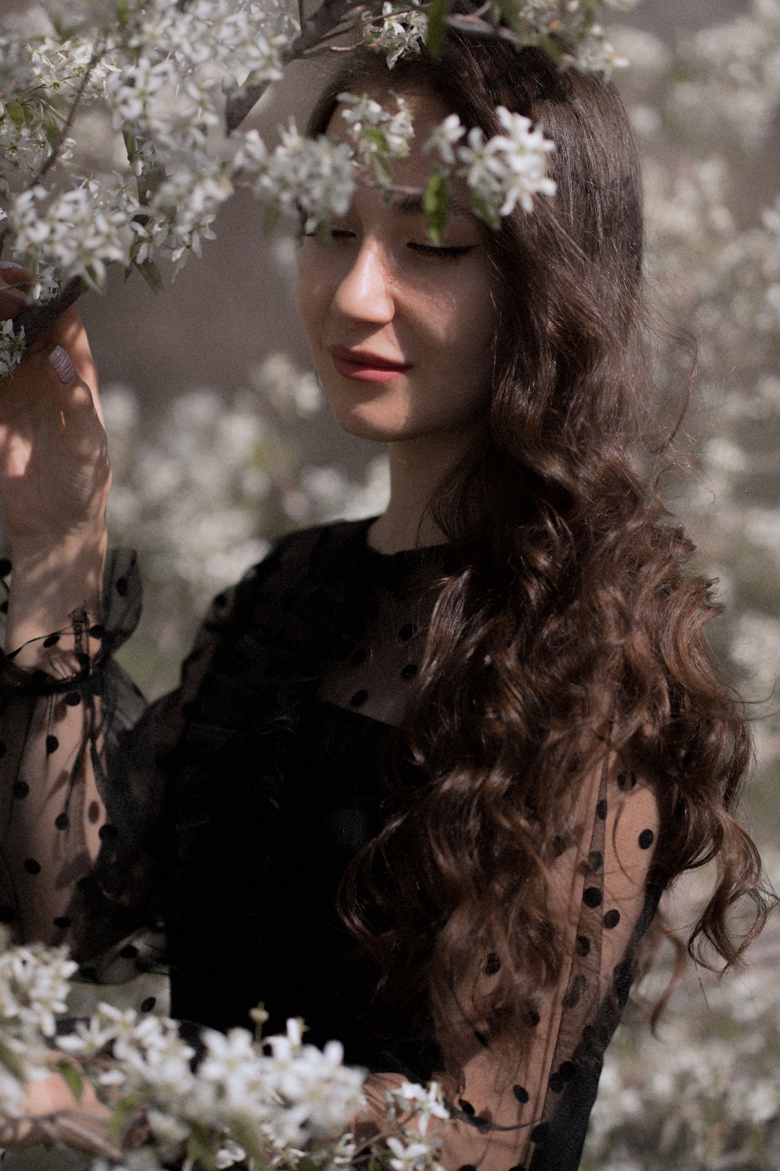 Цветение в саду. Свадебный, семейный, детский, женский фотограф в Москве Дина Мажейка