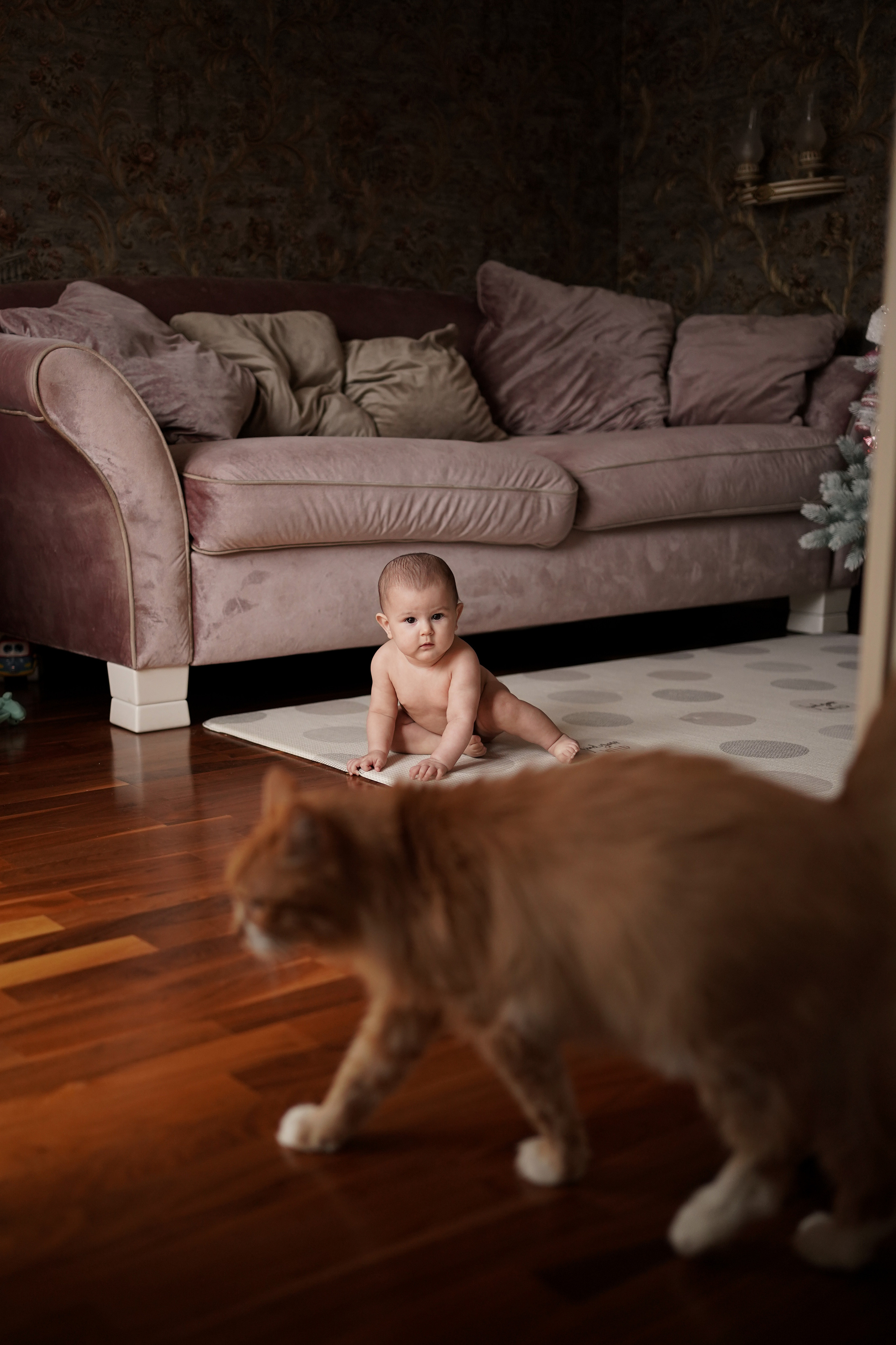 Тася и Тара. Фотограф грудного вскармливания в Москве Екатерина