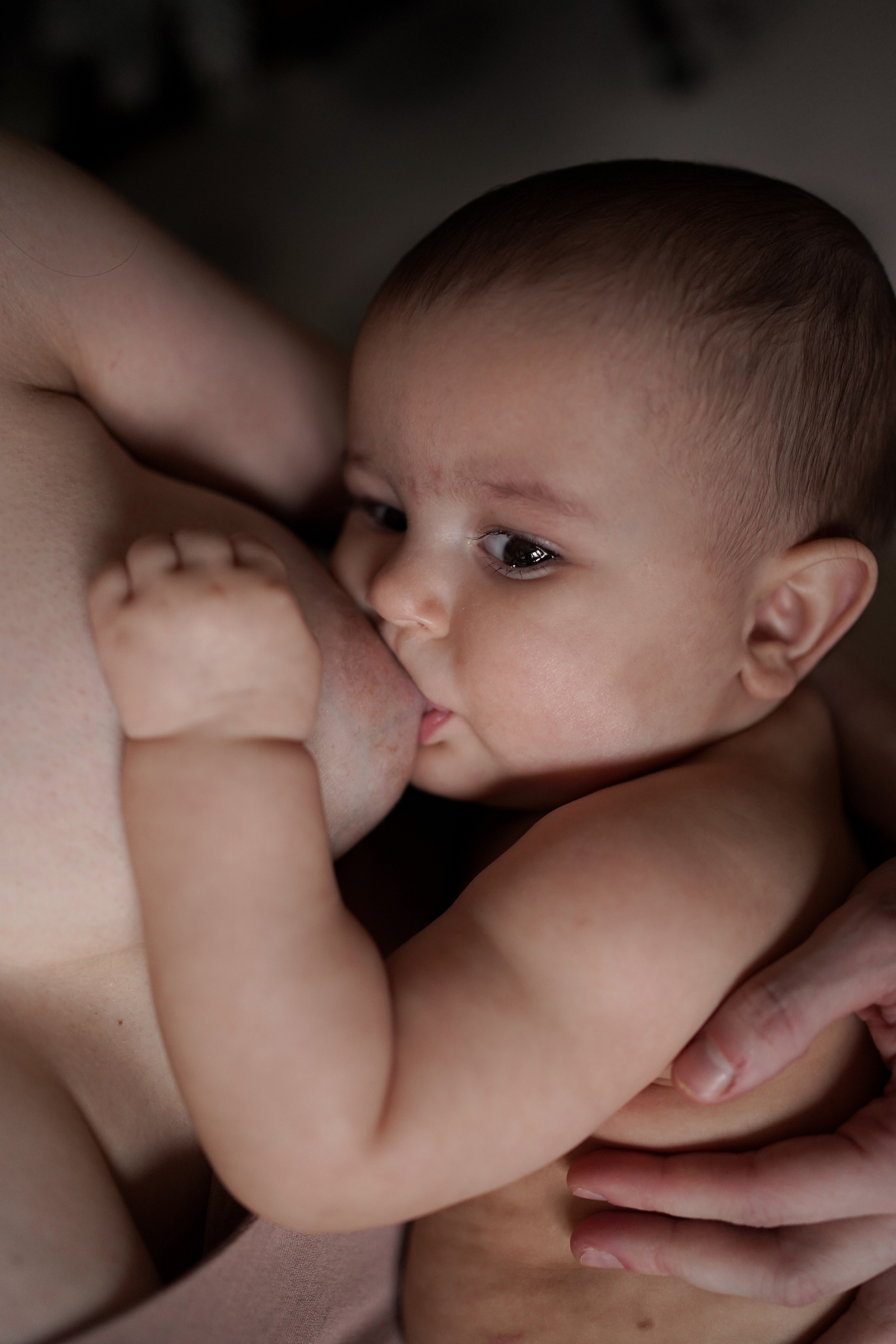 Тася и Тара. Фотограф грудного вскармливания в Москве Екатерина