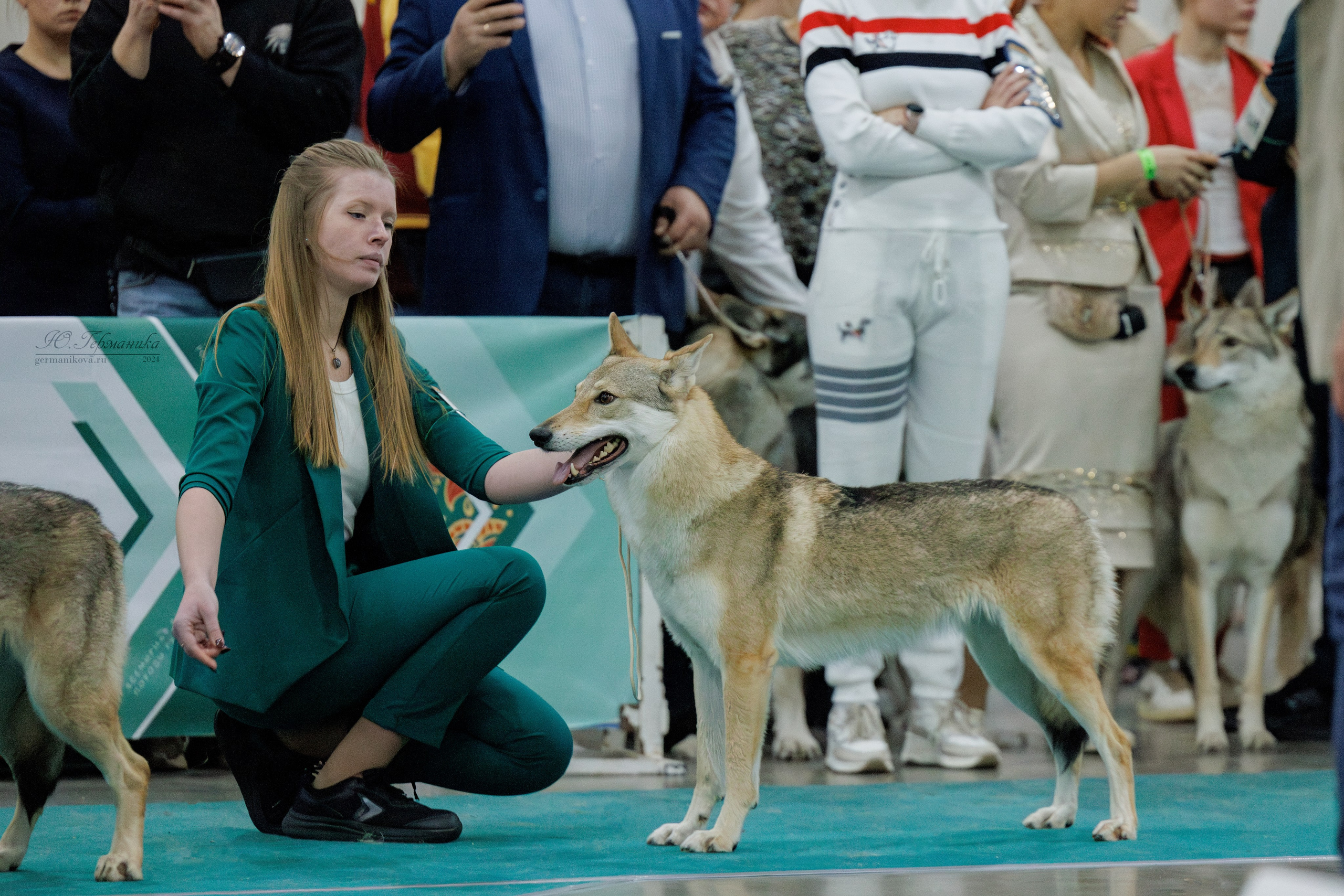 Евразия 16-17.11.2024. Фотограф-анималист Юлия Германика