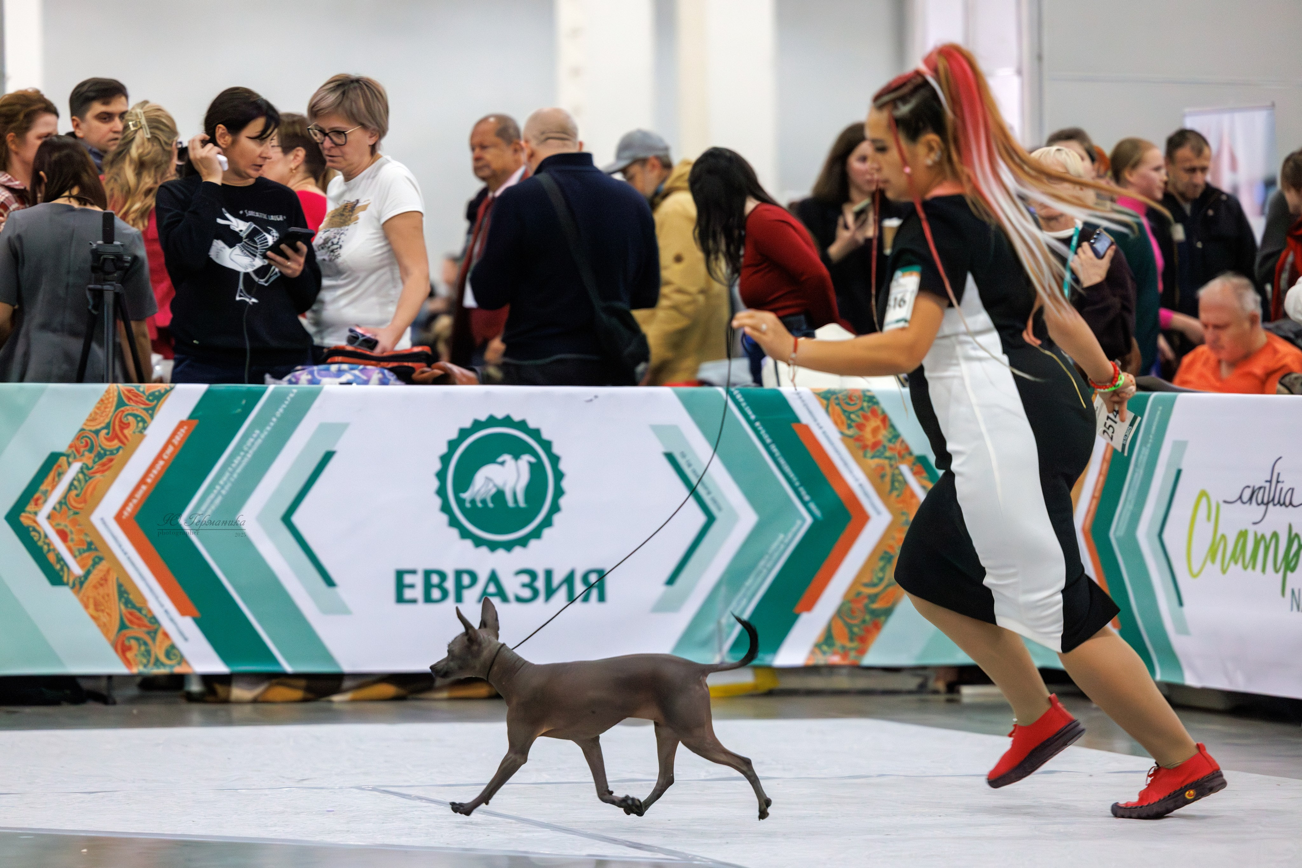 Евразия 15-16.11.2025. Фотограф-анималист Юлия Германика