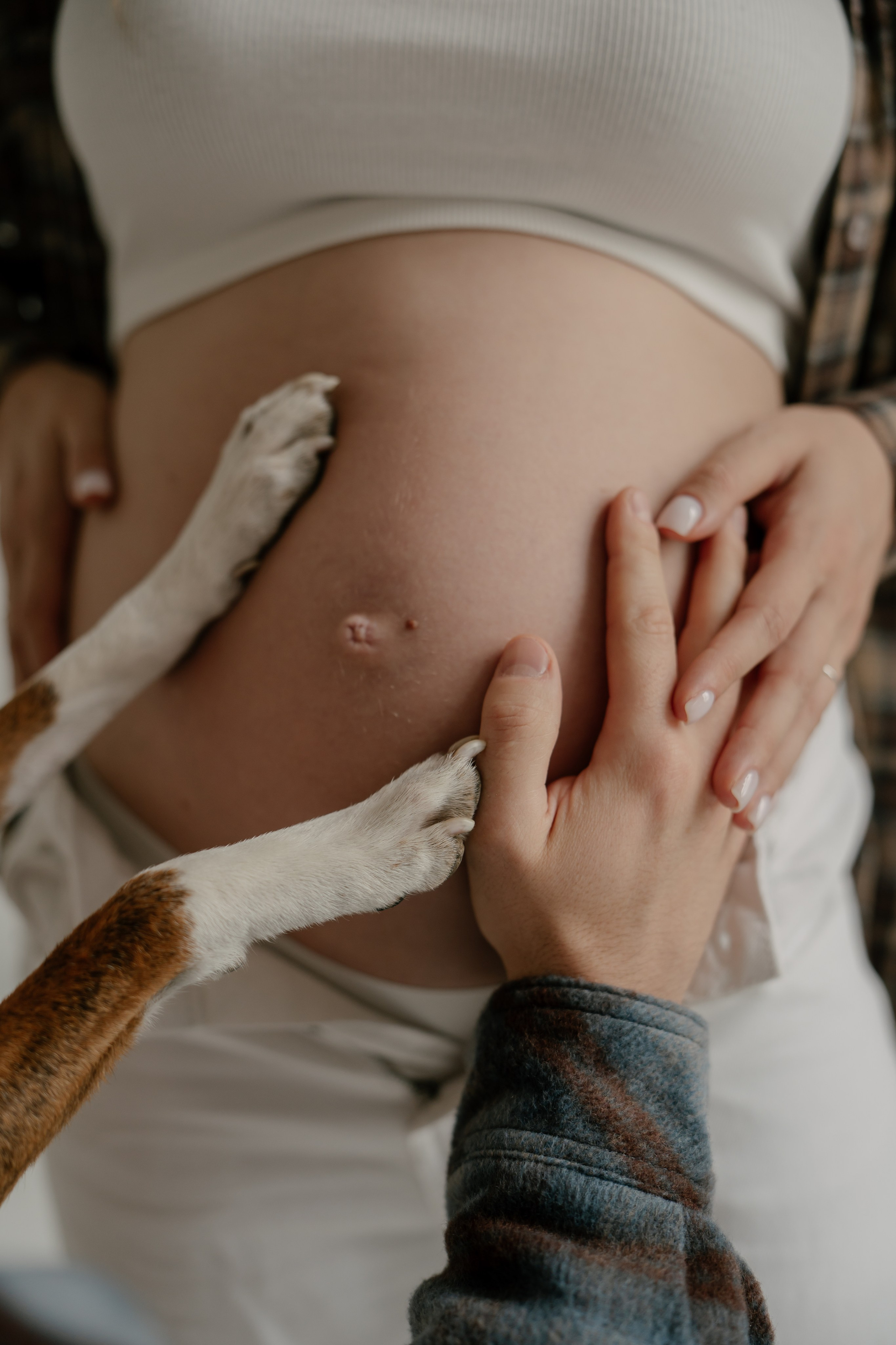 Арина, Антон и Бутс. Свадебный и семейный фотограф в Москве и Красногорске — живые кадры | Анастасия Тихонова