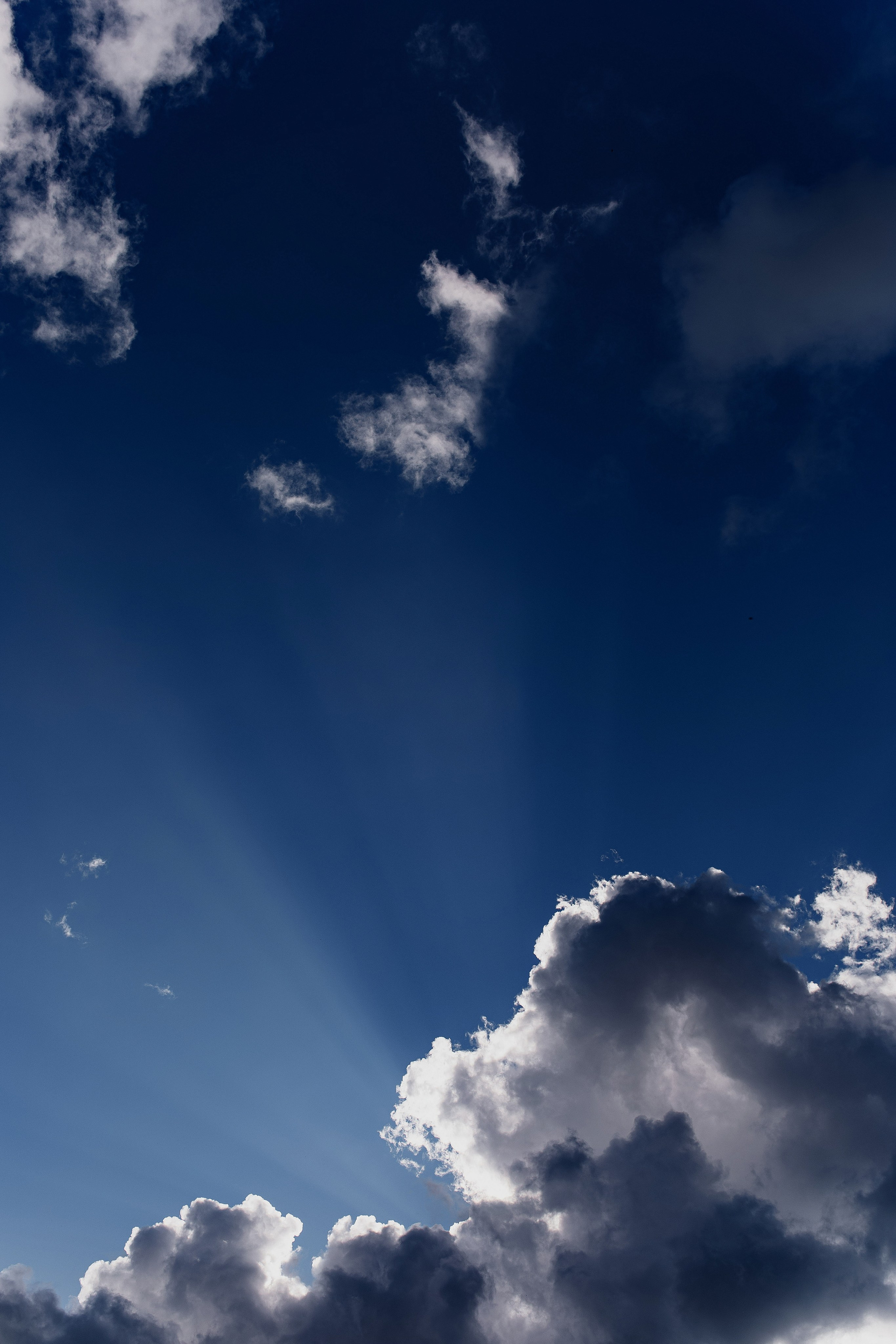 Татьяна и Денис. Фотограф Светлана Голицына