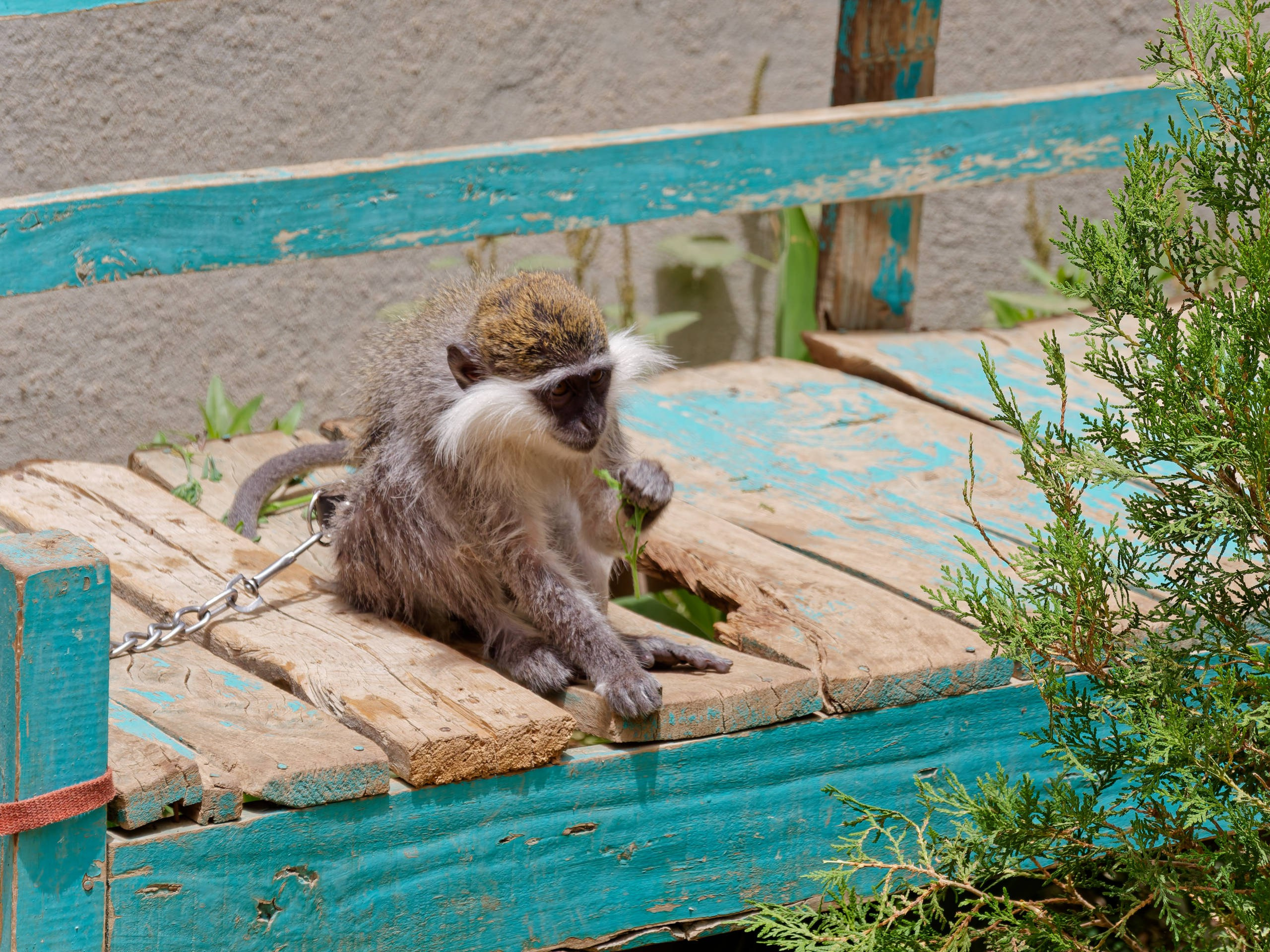 Луксор 2022, Нил, Долина царей. Избранные фотографии