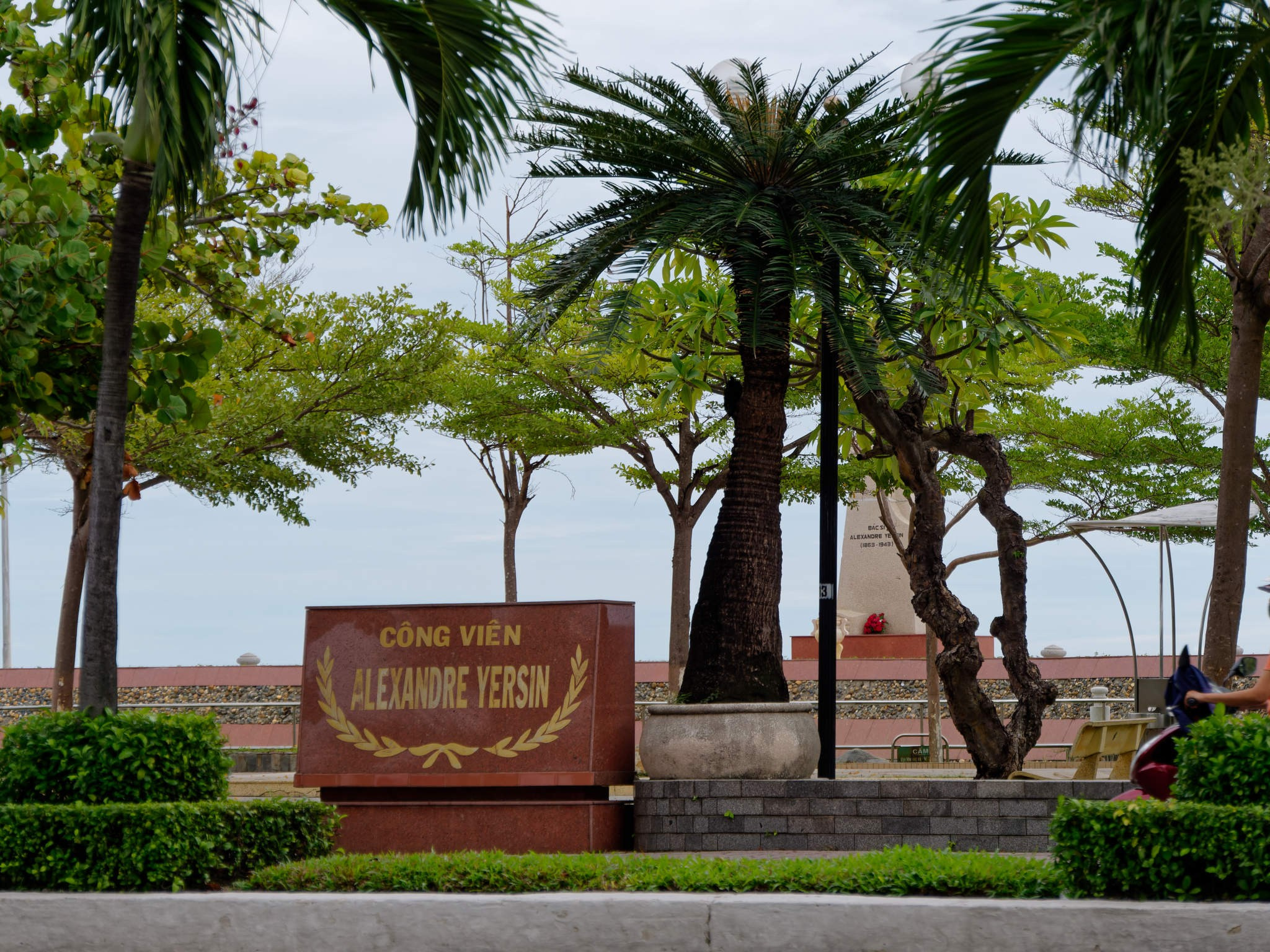 Нячанг 2023. Избранные фотографии