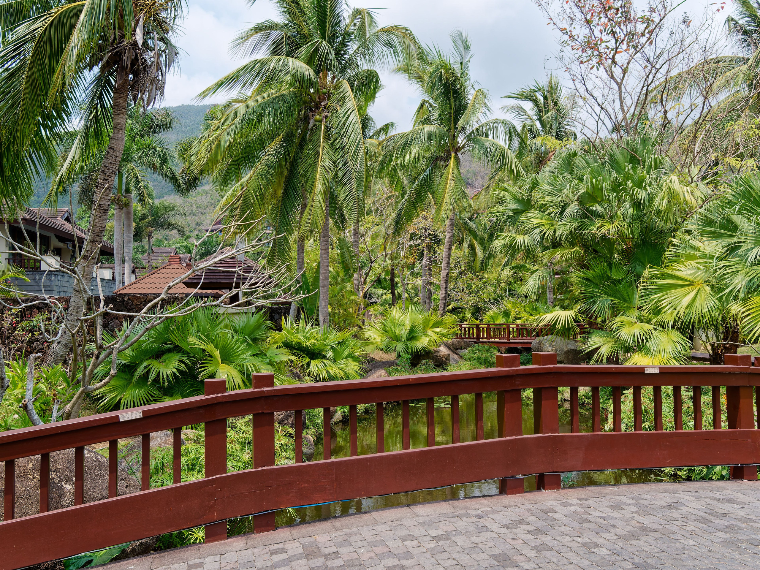 Хайнань 2026, первые впечатления. Фотопрогулки по Миру