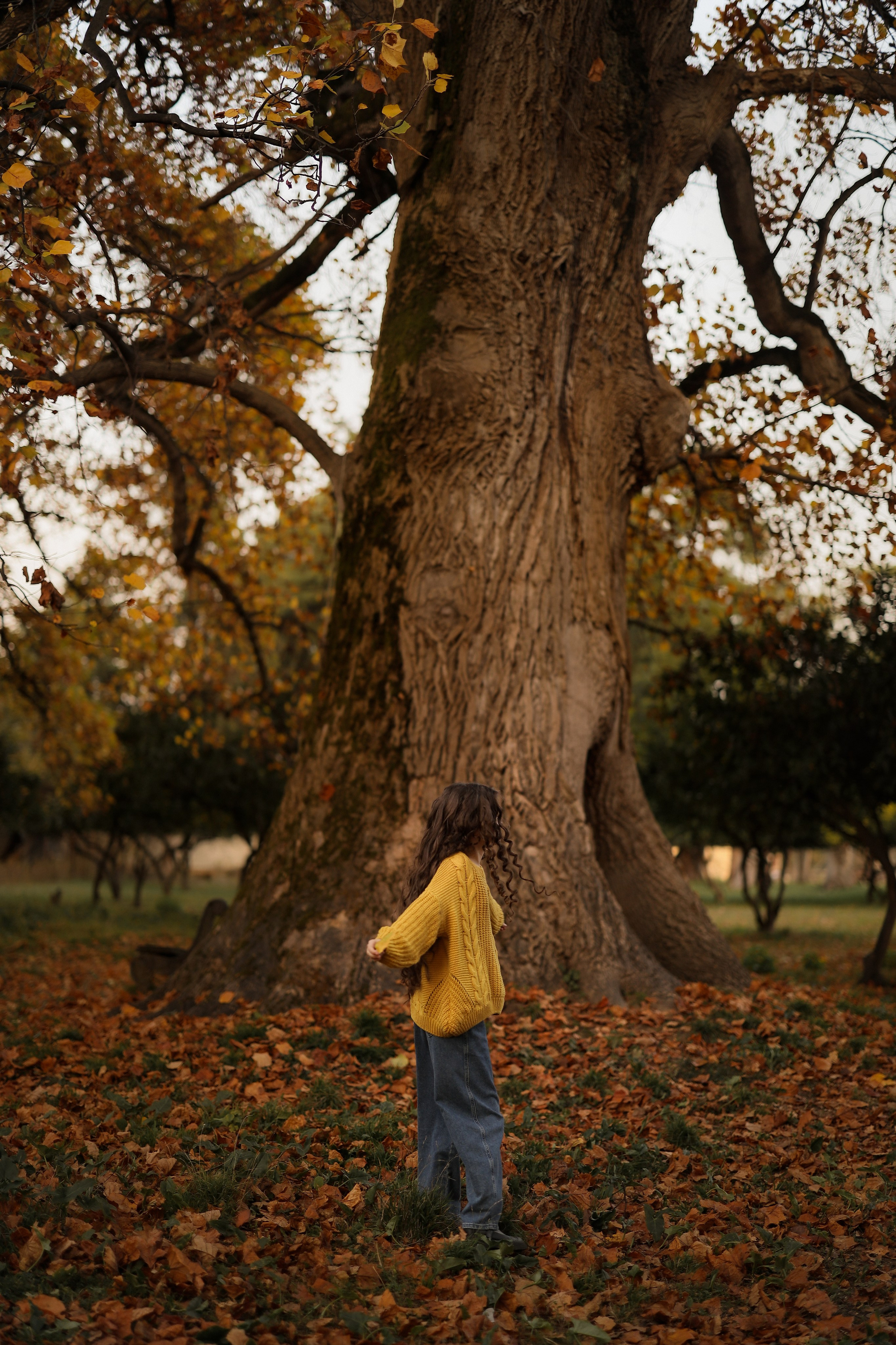 Осенняя фотосессия для Полины у древа патриарха в Сухуме. Свадебный и семейный фотограф в Абхазии Жанна Соснина