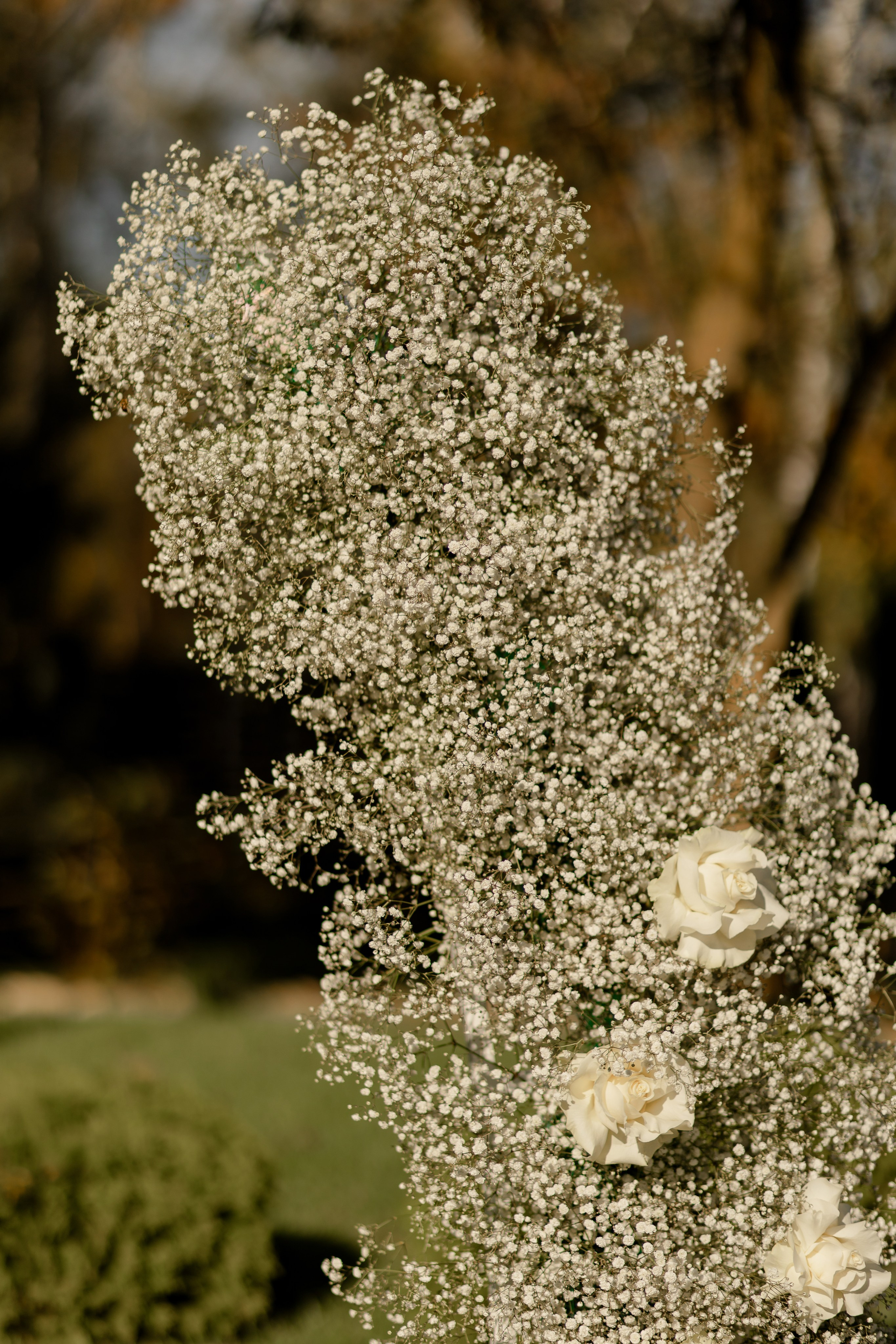 Кирилл и Даша. Dima Lemeshevsky