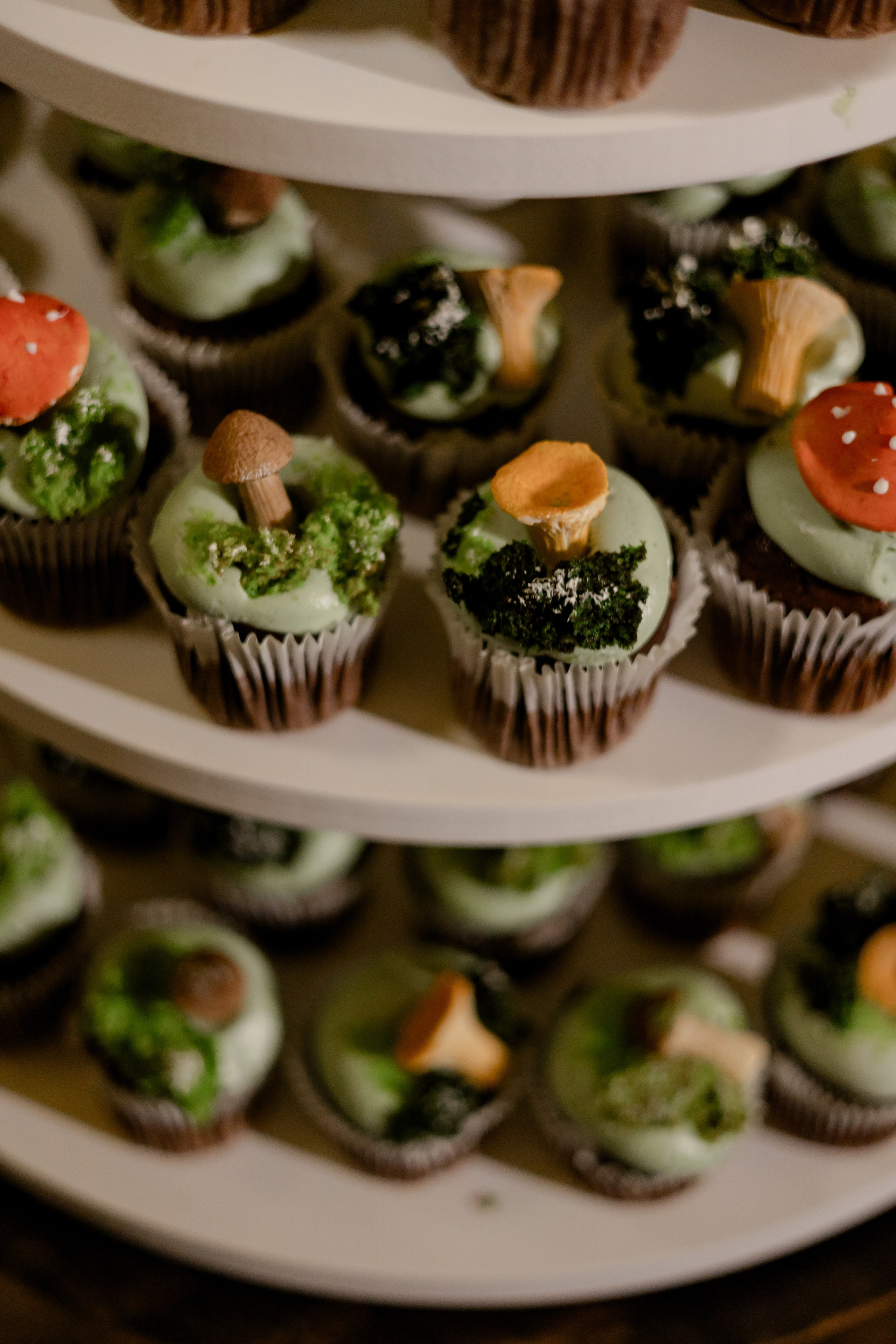 Виноградники. Dima Lemeshevsky