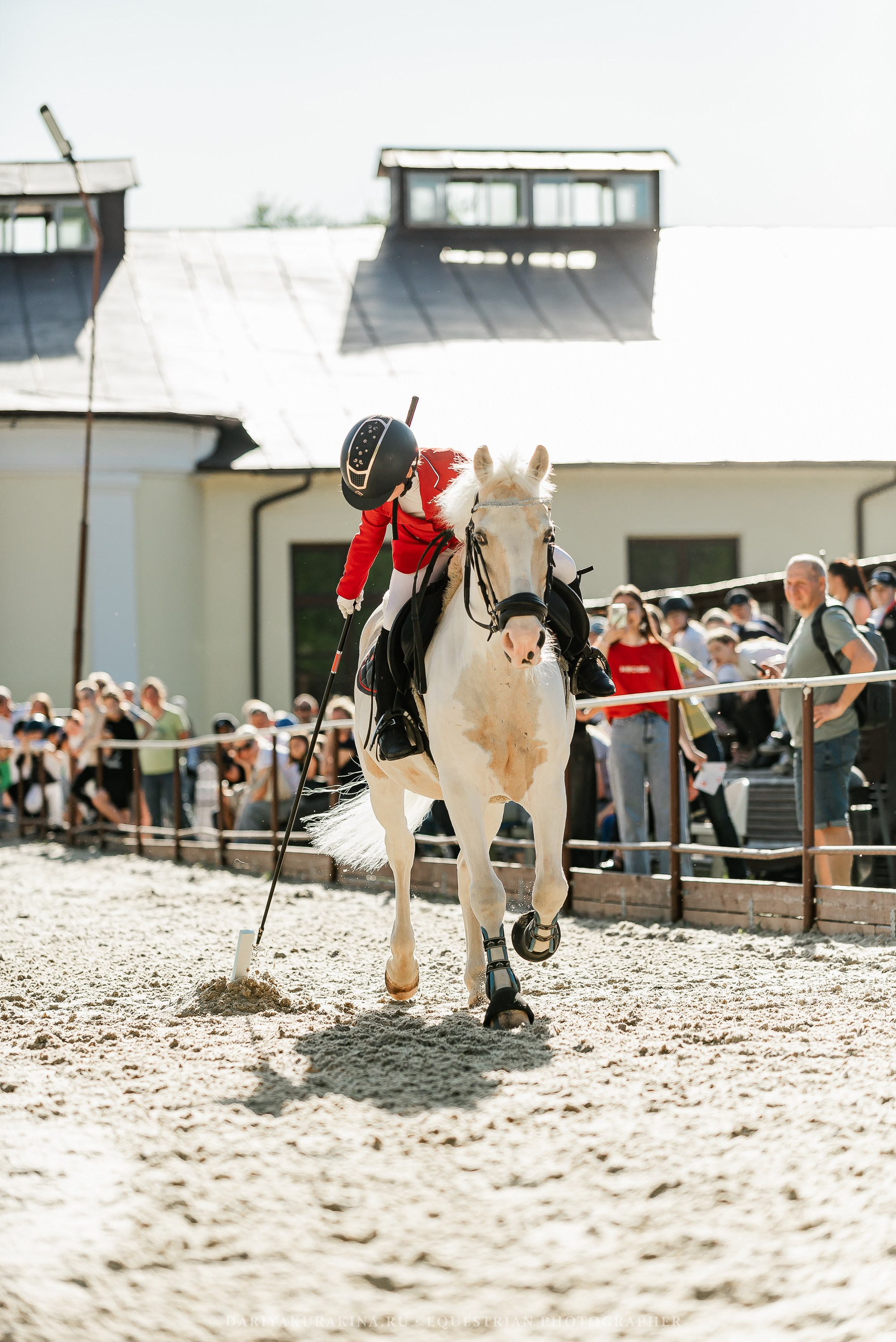 #ПОНИФОРУМ 2024. Конный фотограф Куракина Дарья • Фотосессии с лошадьми