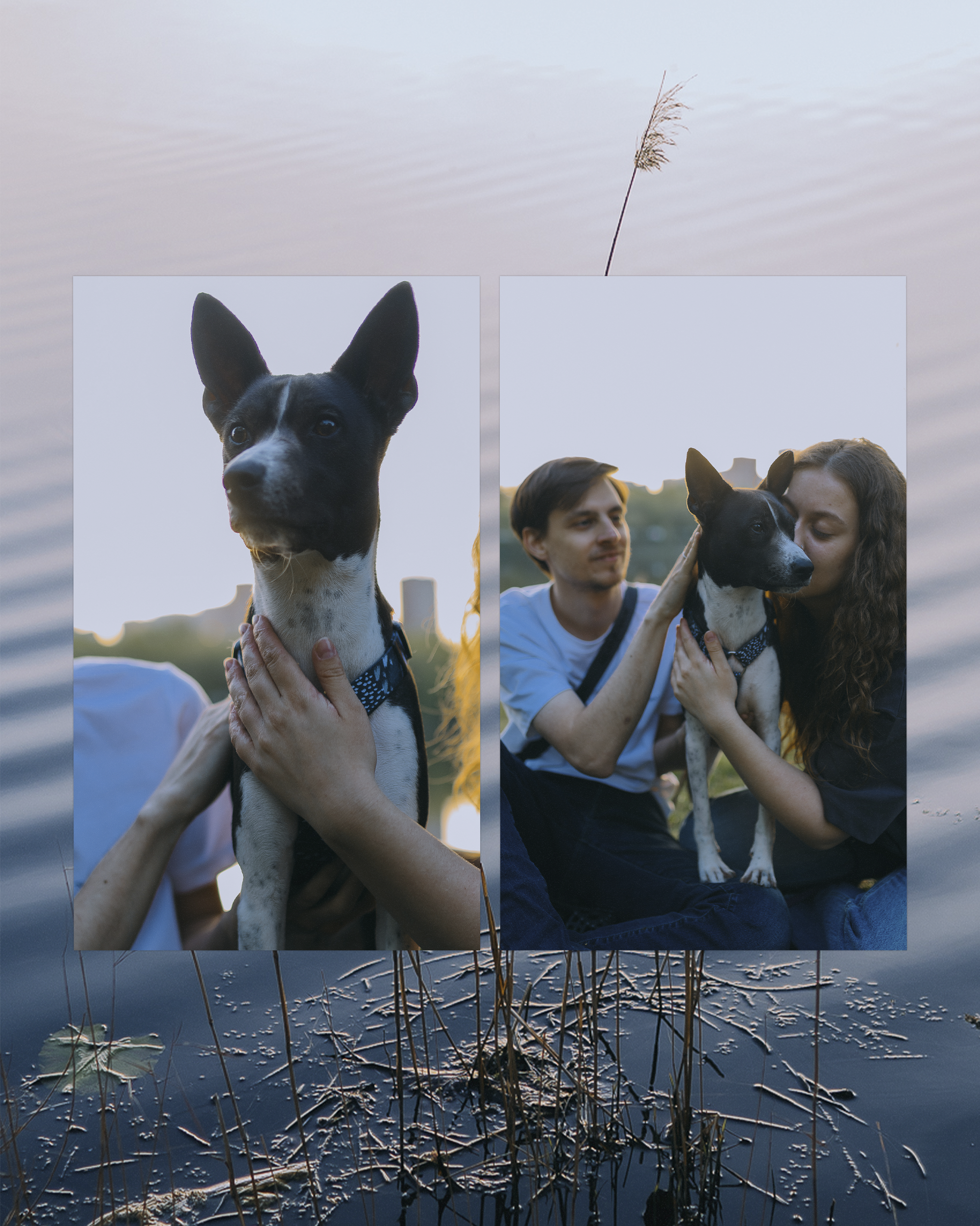 🐶. Фотограф Вика Про