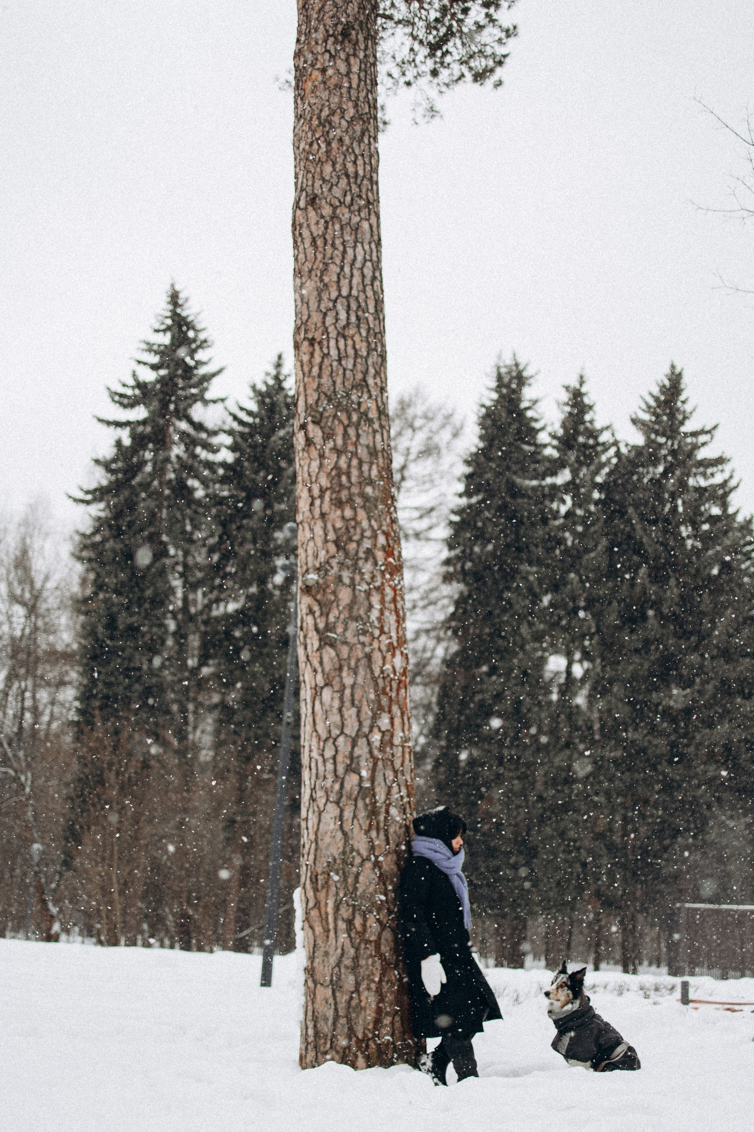 Настя и Тор. Фотораф — анималист Мария Шистка
