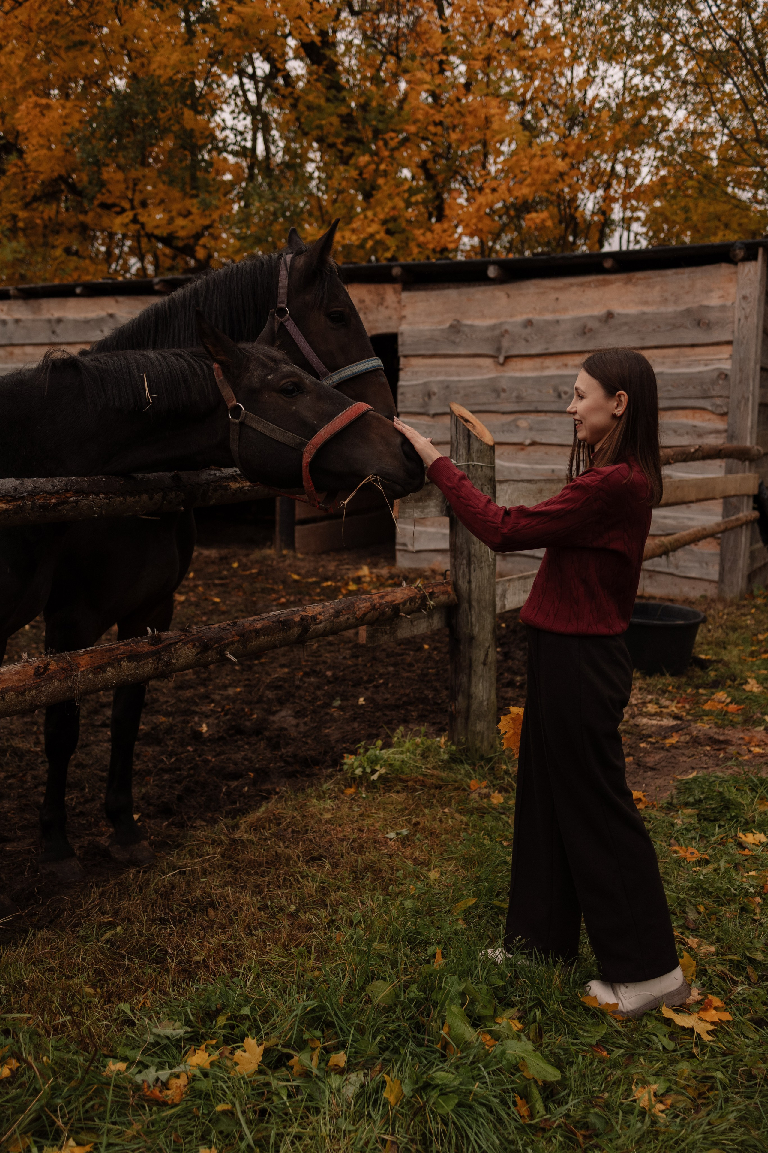 Семейная. Photographer Oseiko Nadezhda