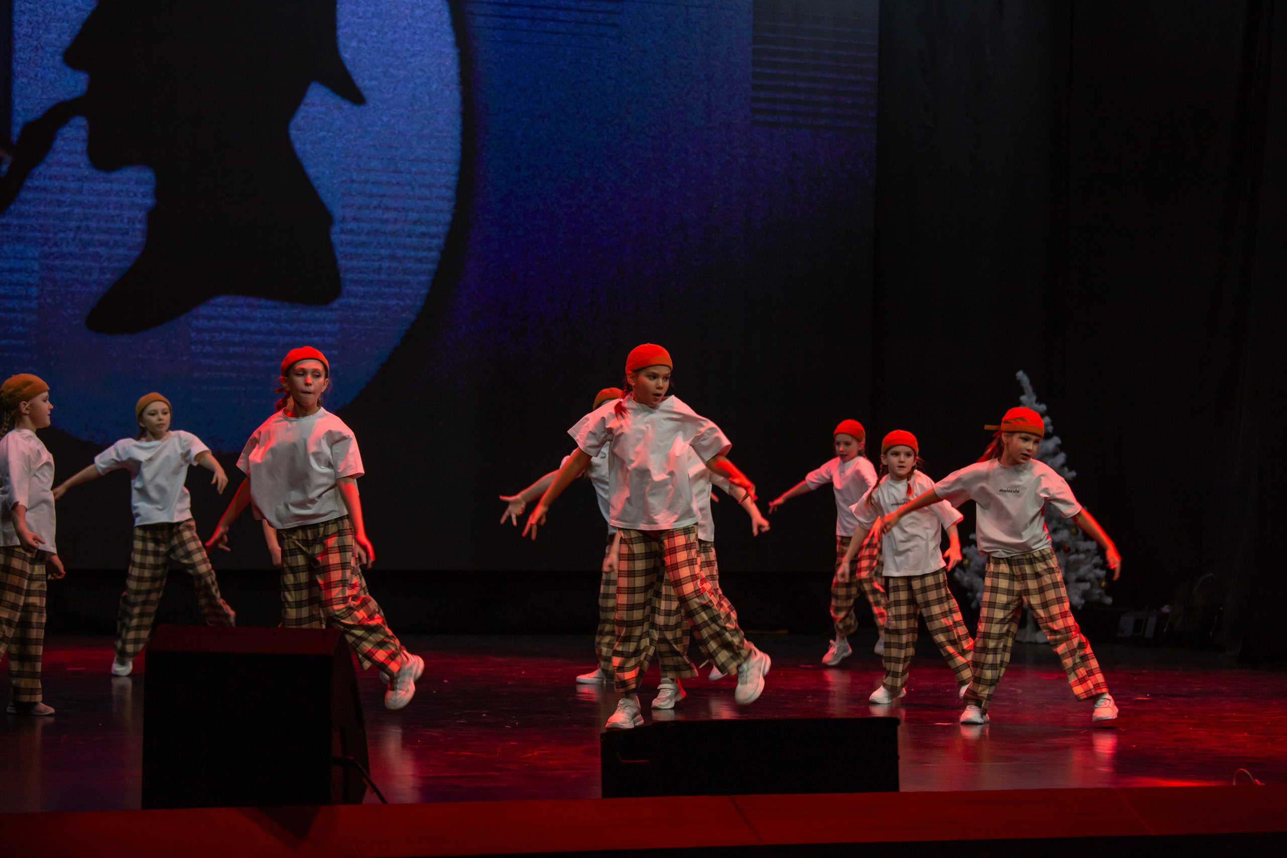 Концерт детской танцевальной школы. Репортажный, семейный, свадебный, портретный фотограф