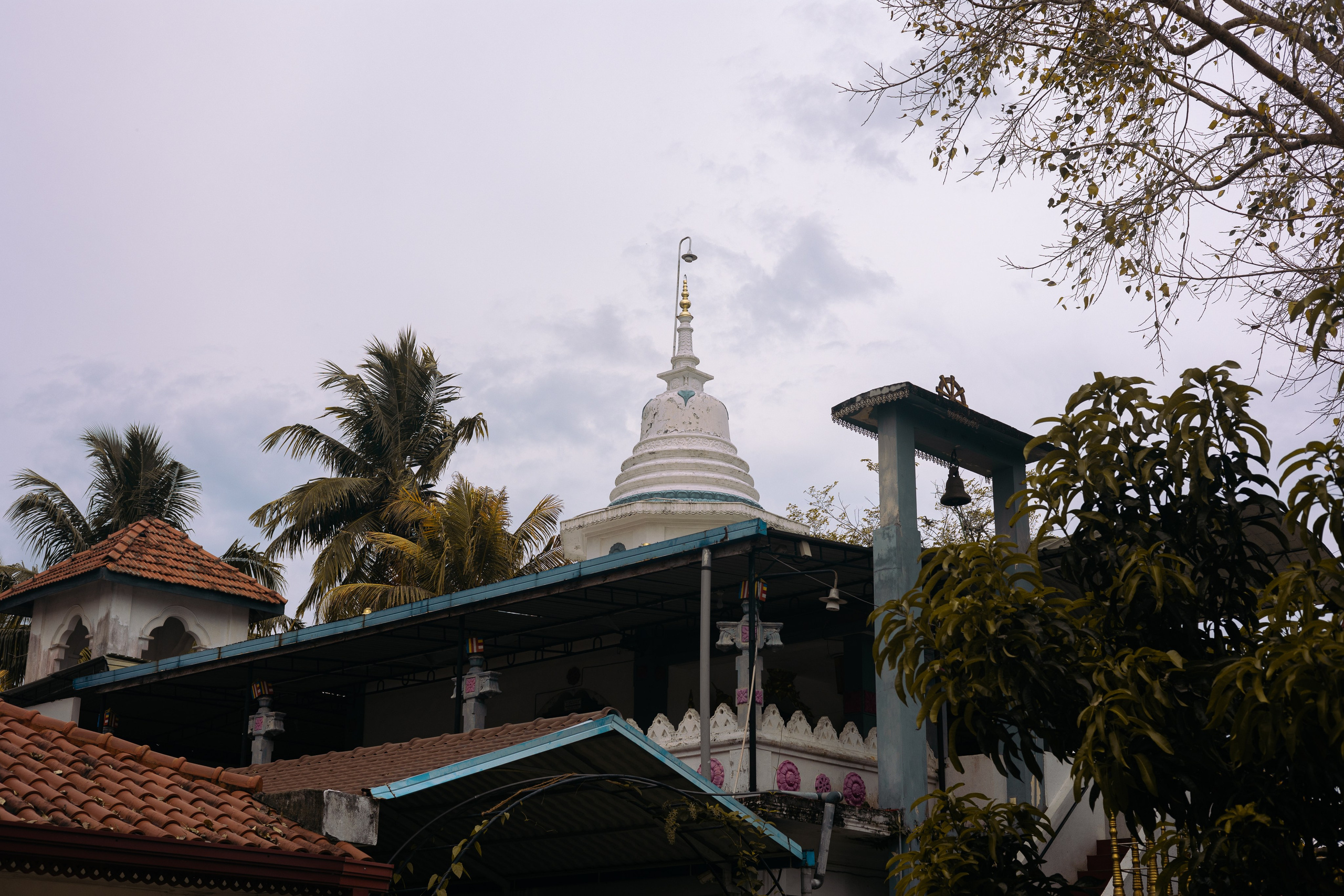 Weligama. Photographer Sonkina Tatiana (Tanya Ash)