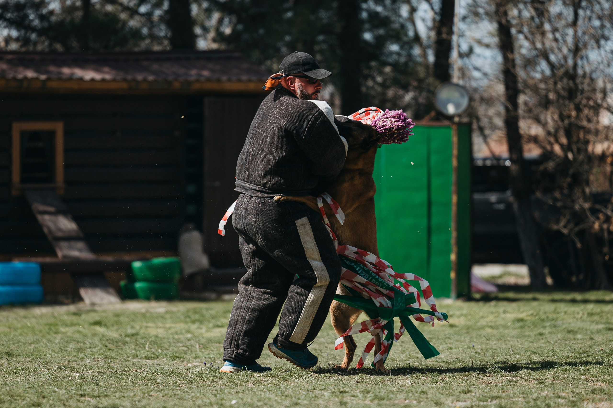 Геленджик Мондьоринг. Фотограф-анималист Анна Маринич