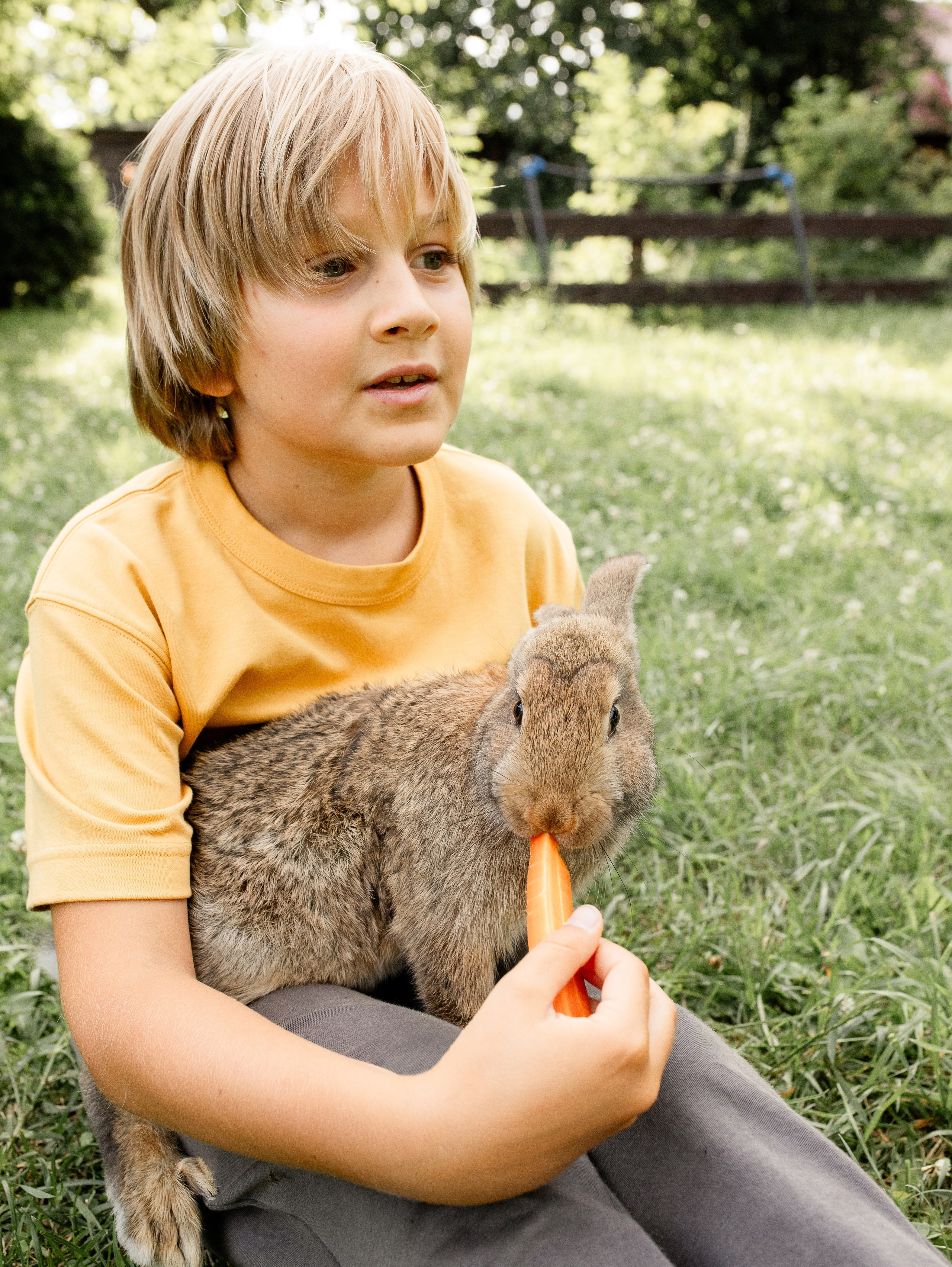 Кролики 2023. Семейный фотограф в Санкт-Петербурге Ирина Иванова