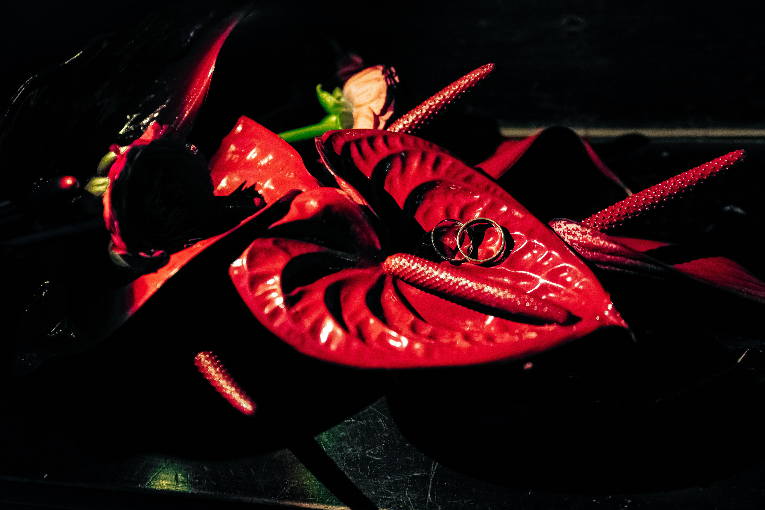 Арина и Костя. Главная