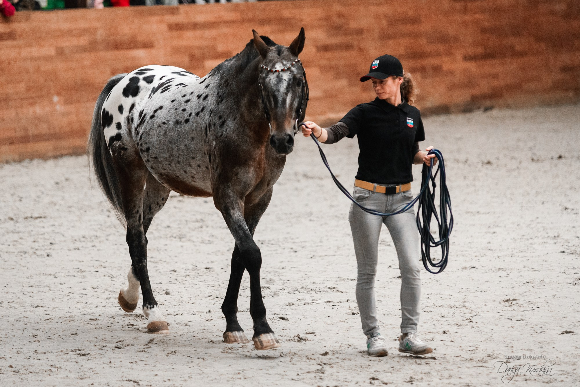 8-я международная выставка Конная Россия. Конный фотограф Куракина Дарья • Фотосессии с лошадьми