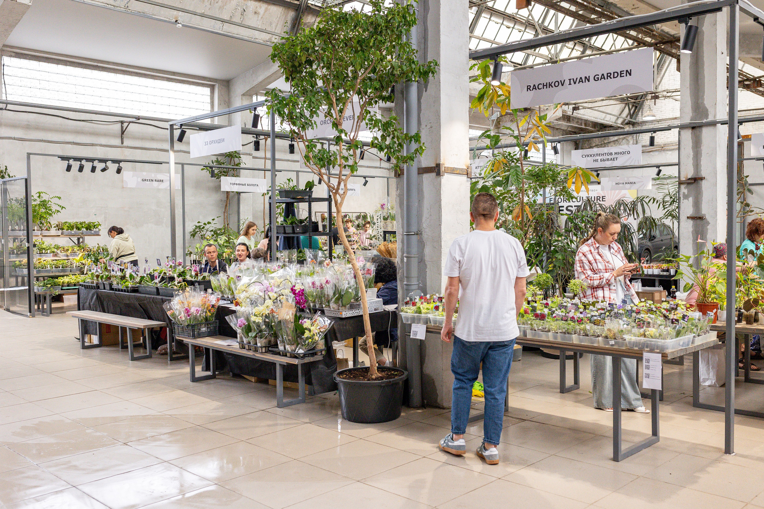 Green rare июнь 2025. Александра Куликова фотограф, Москва