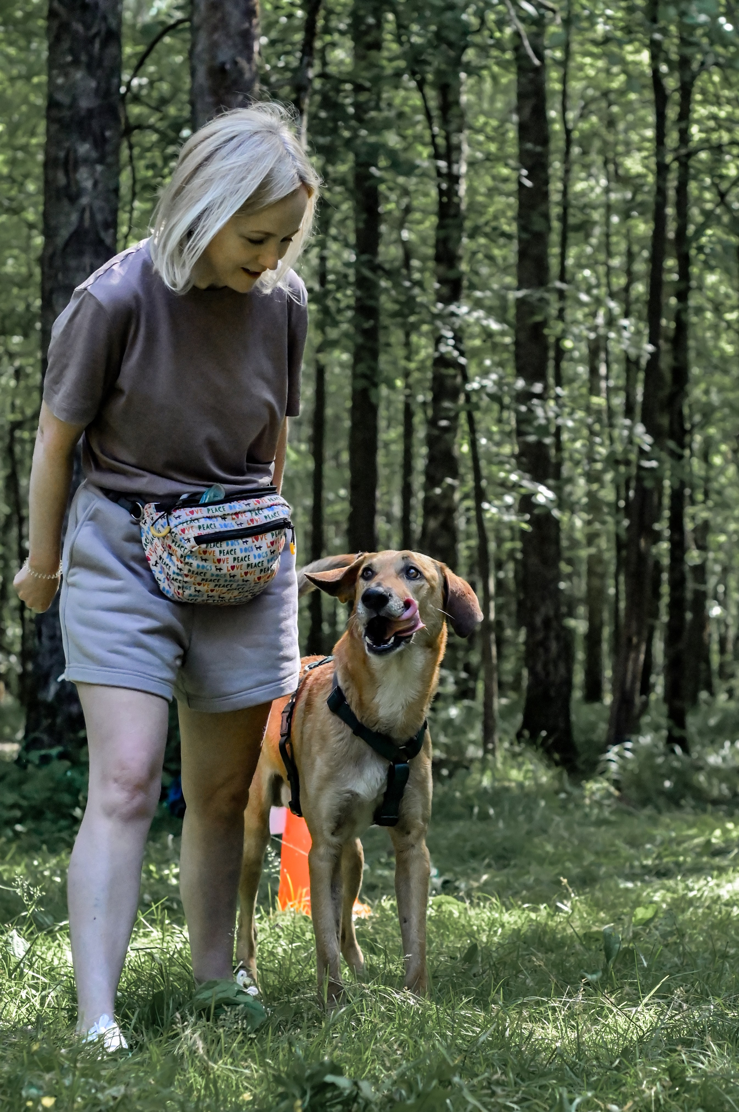 Кинологические соревнования. Семейный и репортажный фотограф в Москве Анастасия Трубкина